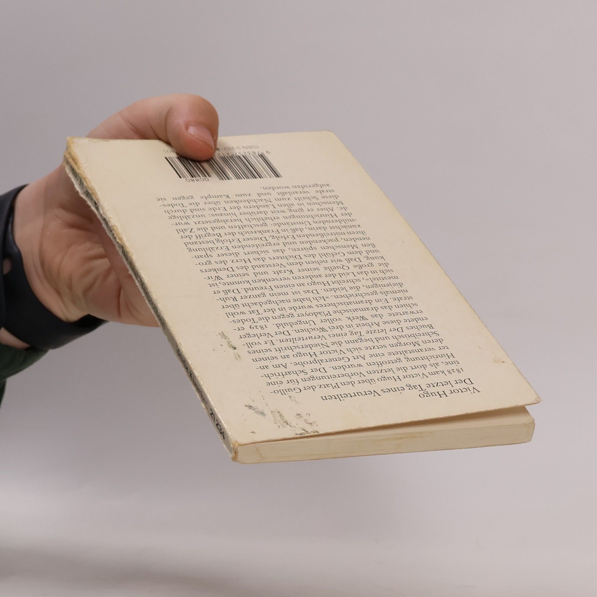 Victor Hugo Der letzte Tag eines Verurteilten