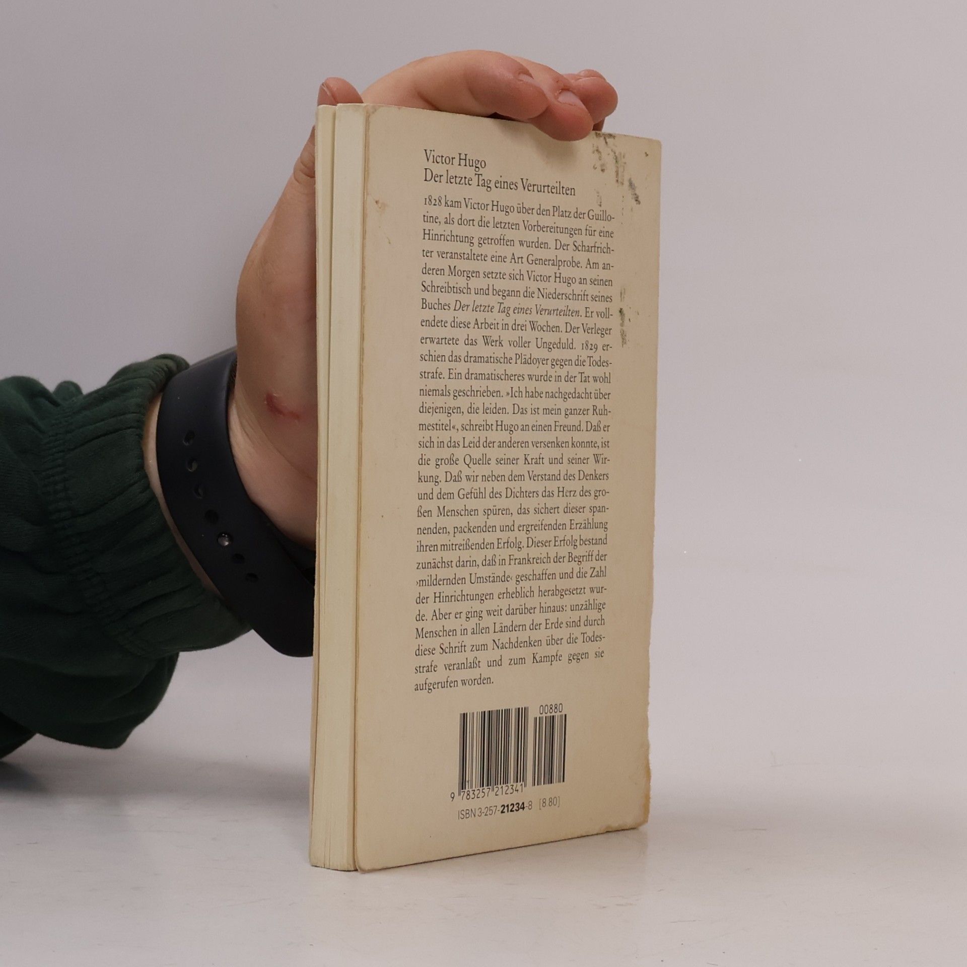 Victor Hugo Der letzte Tag eines Verurteilten
