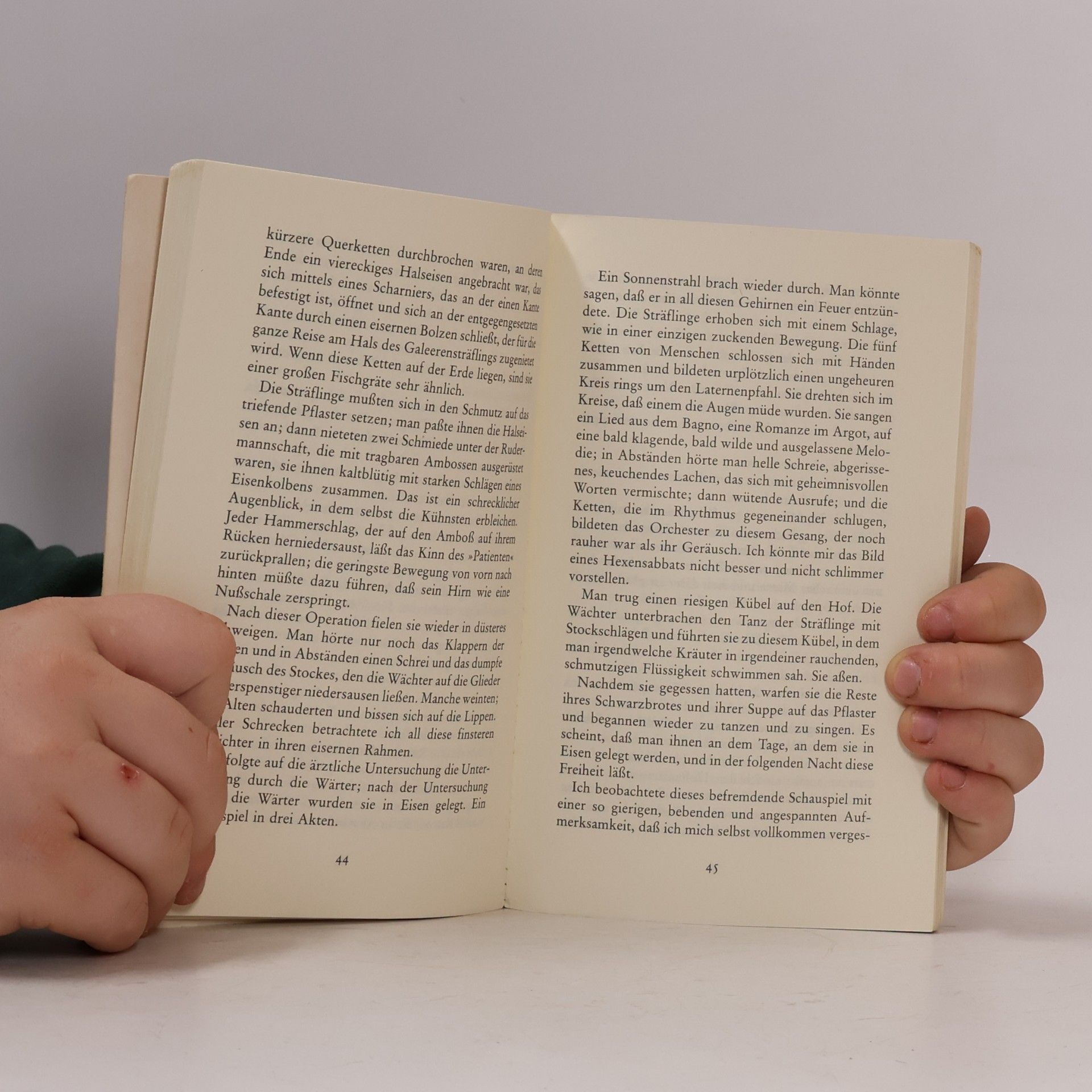 Victor Hugo Der letzte Tag eines Verurteilten