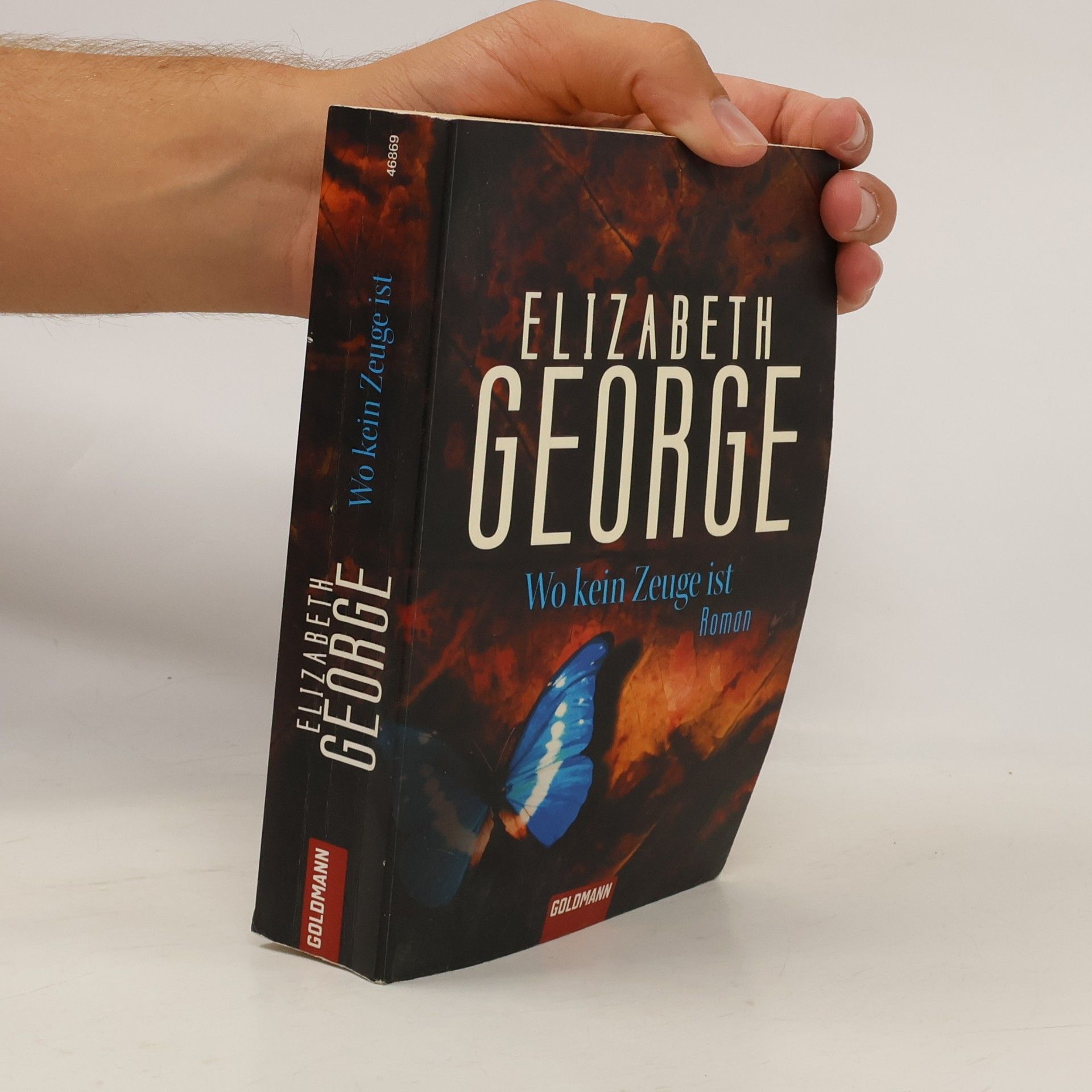 Elizabeth George Wo kein Zeuge ist