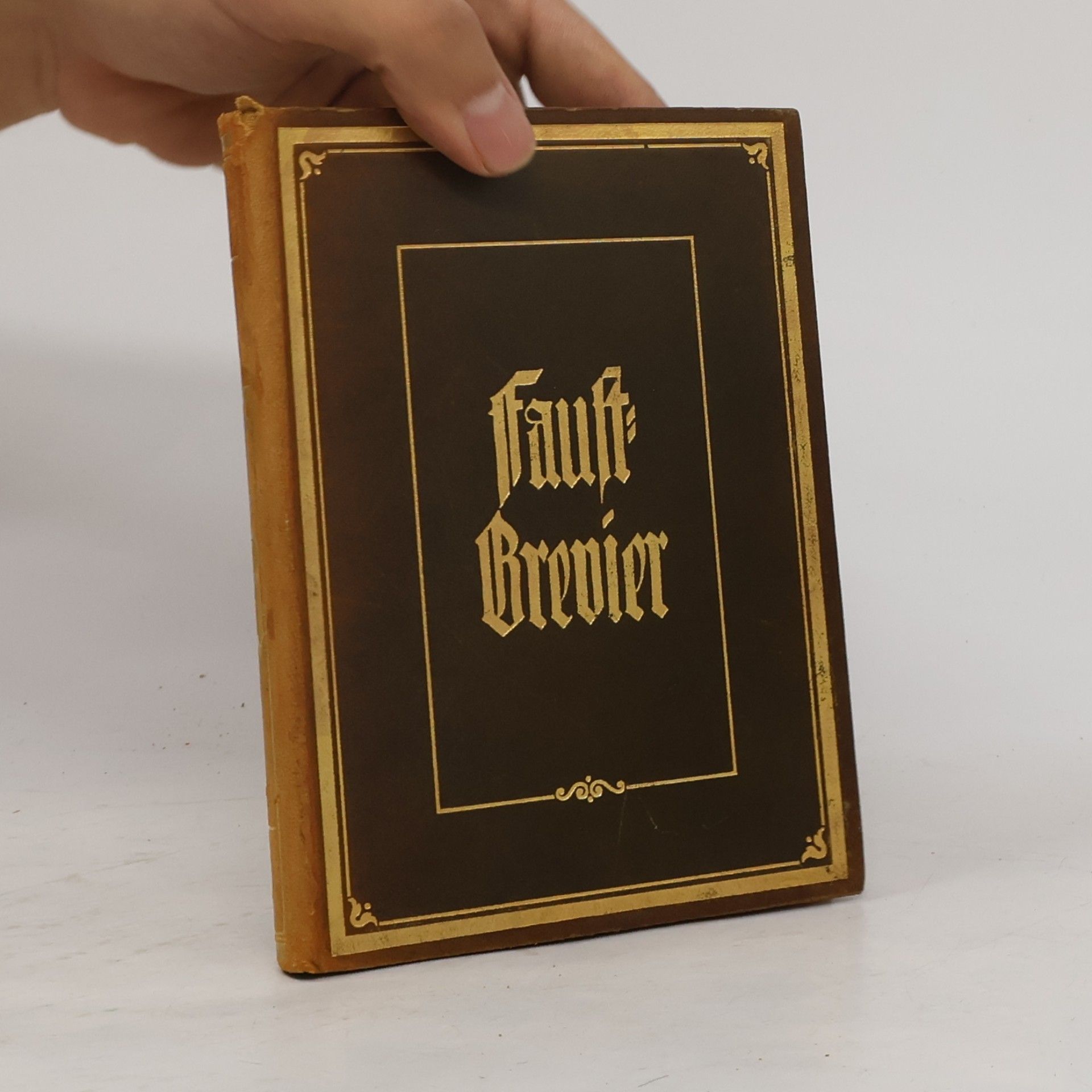 Johann Wolfgang von Goethe Faust-Brevier