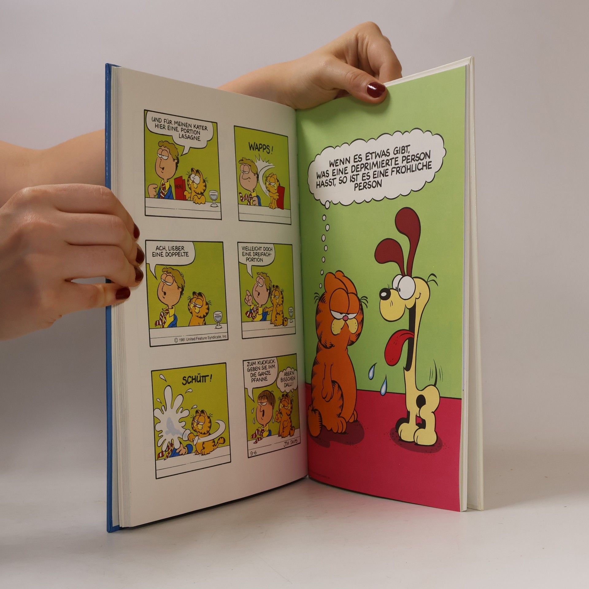 Jim Davis Die Garfield Revue