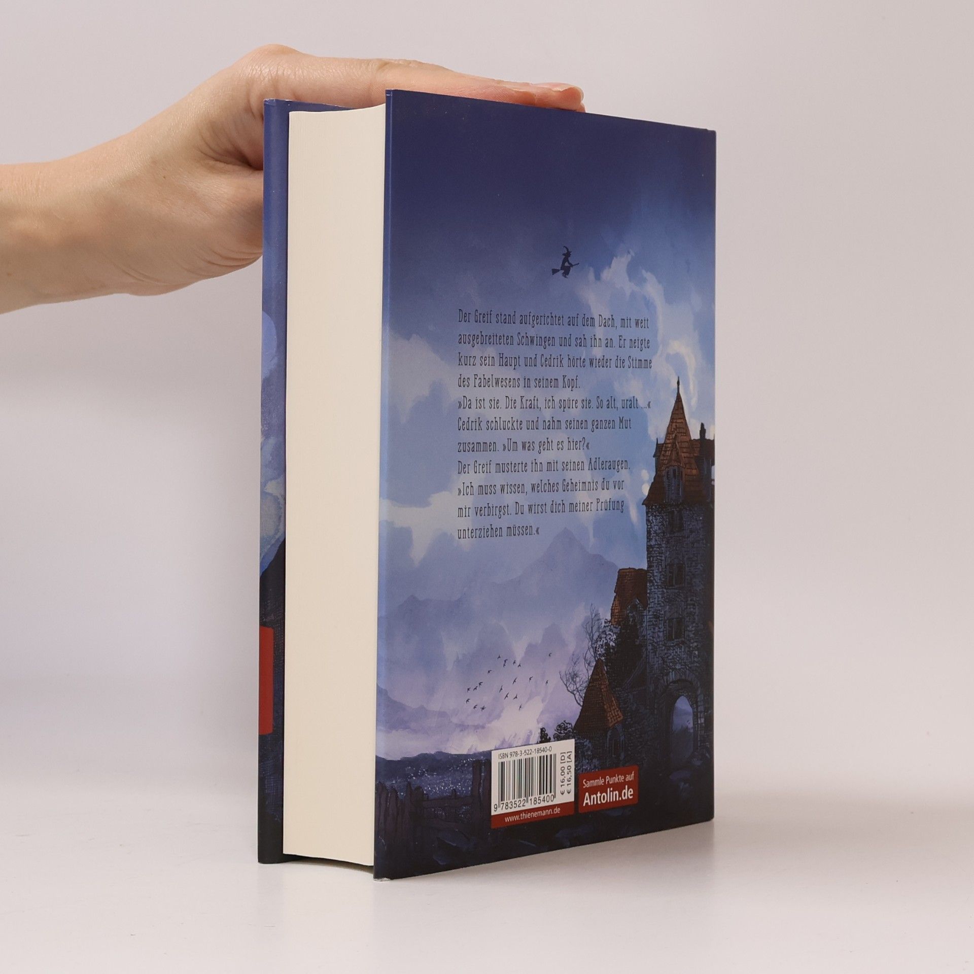 Benedict Mirow Die Chroniken von Mistle End 1: Der Greif erwacht