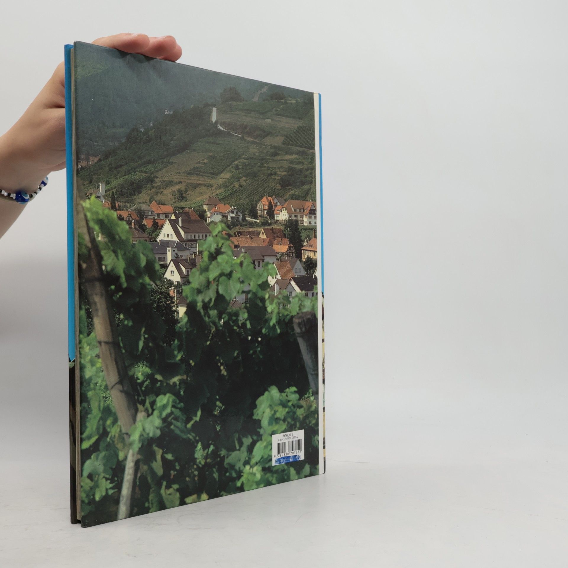 Leprohon Pierre L'Alsace et les Vosges