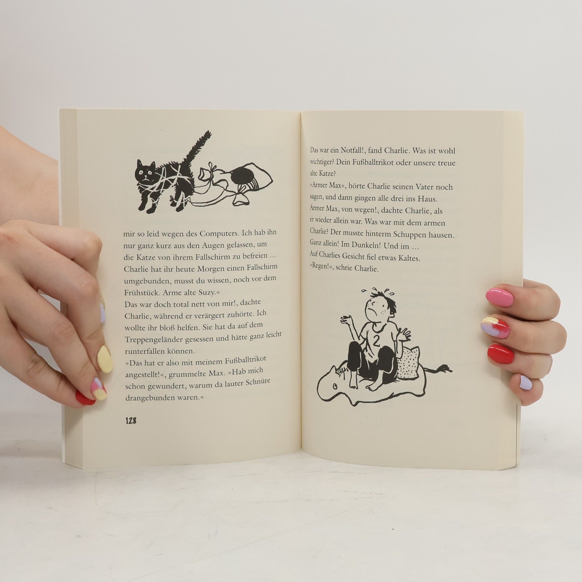 Hilary McKay Charlies Katastrophensammlung