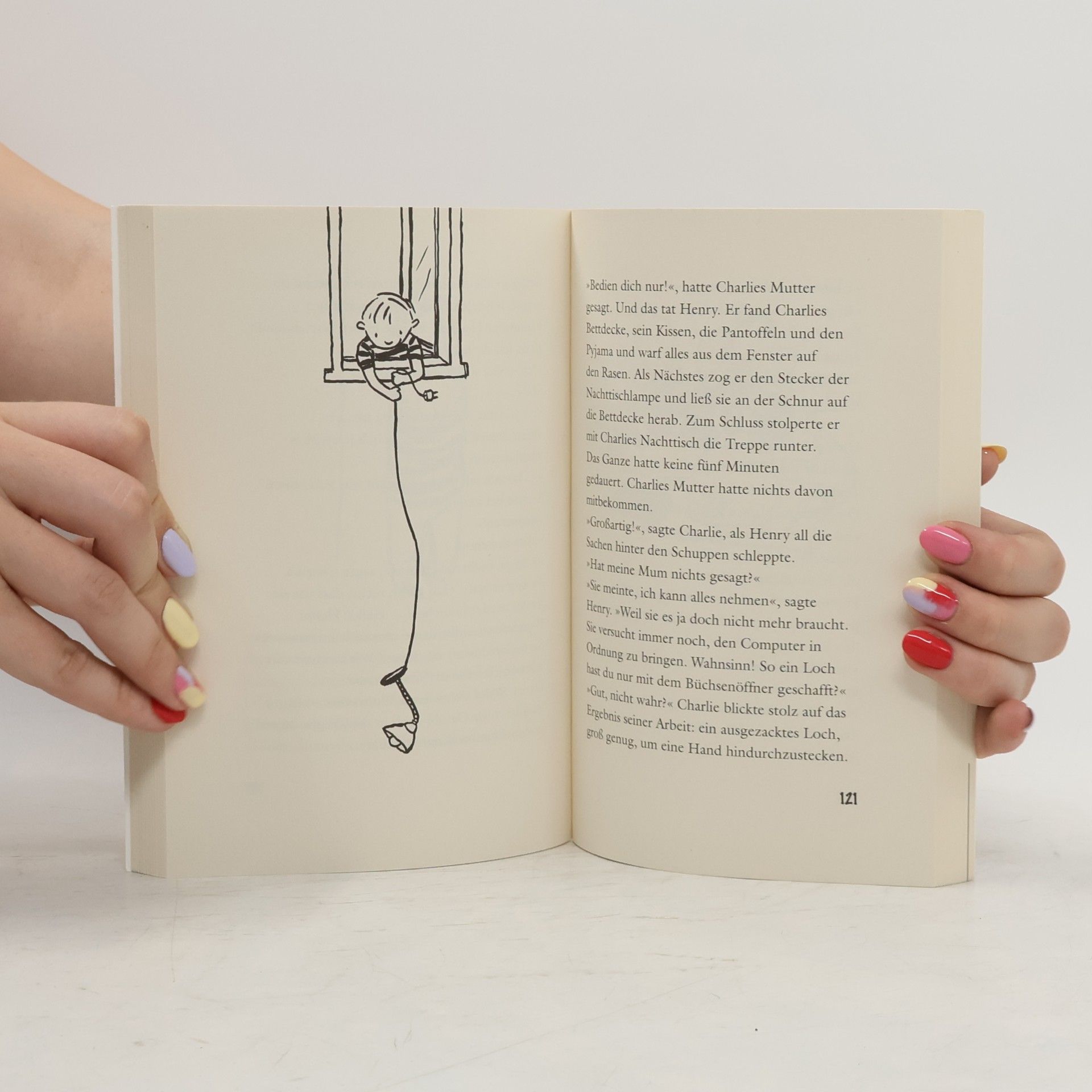 Hilary McKay Charlies Katastrophensammlung
