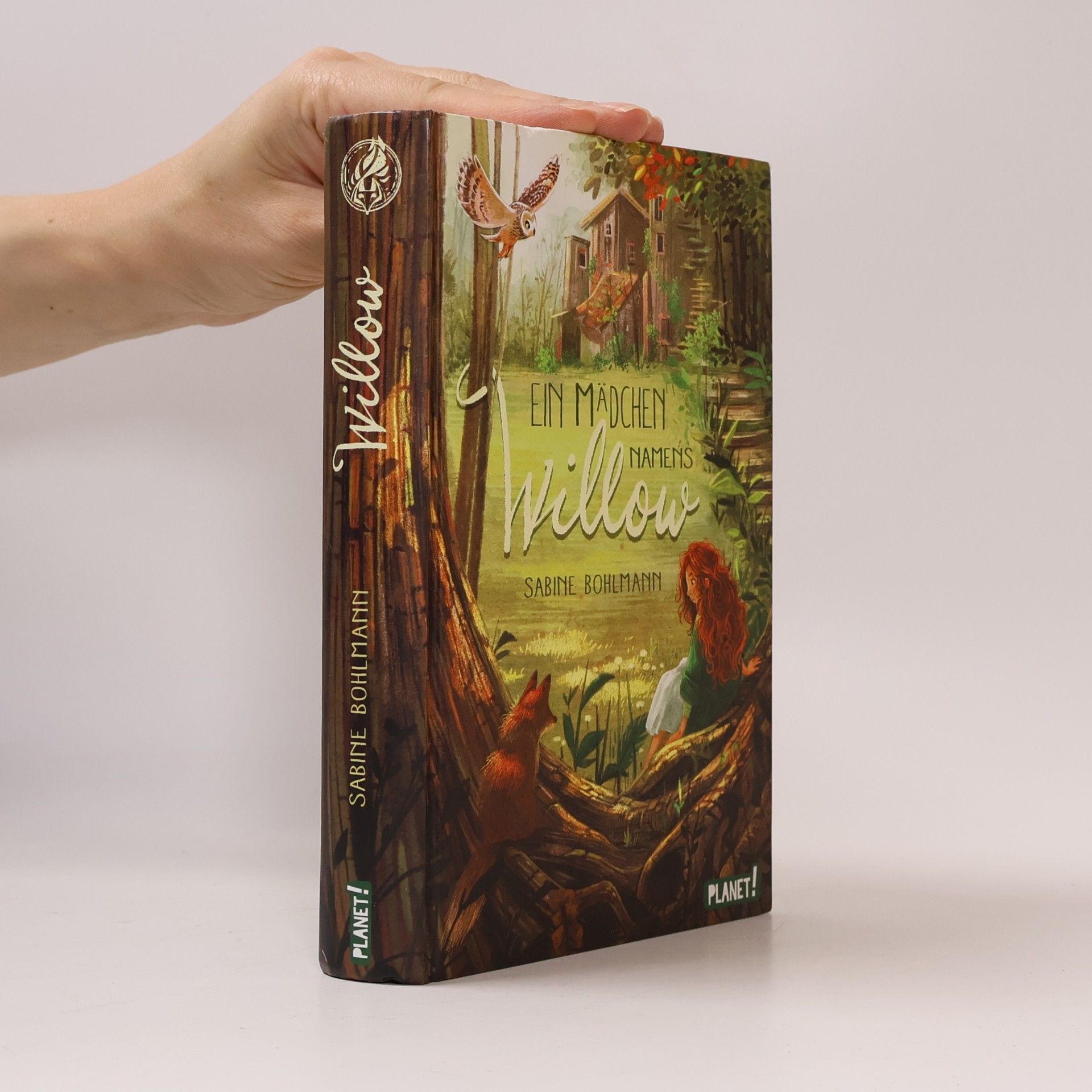 Sabine Bohlmann Ein Mädchen namens Willow