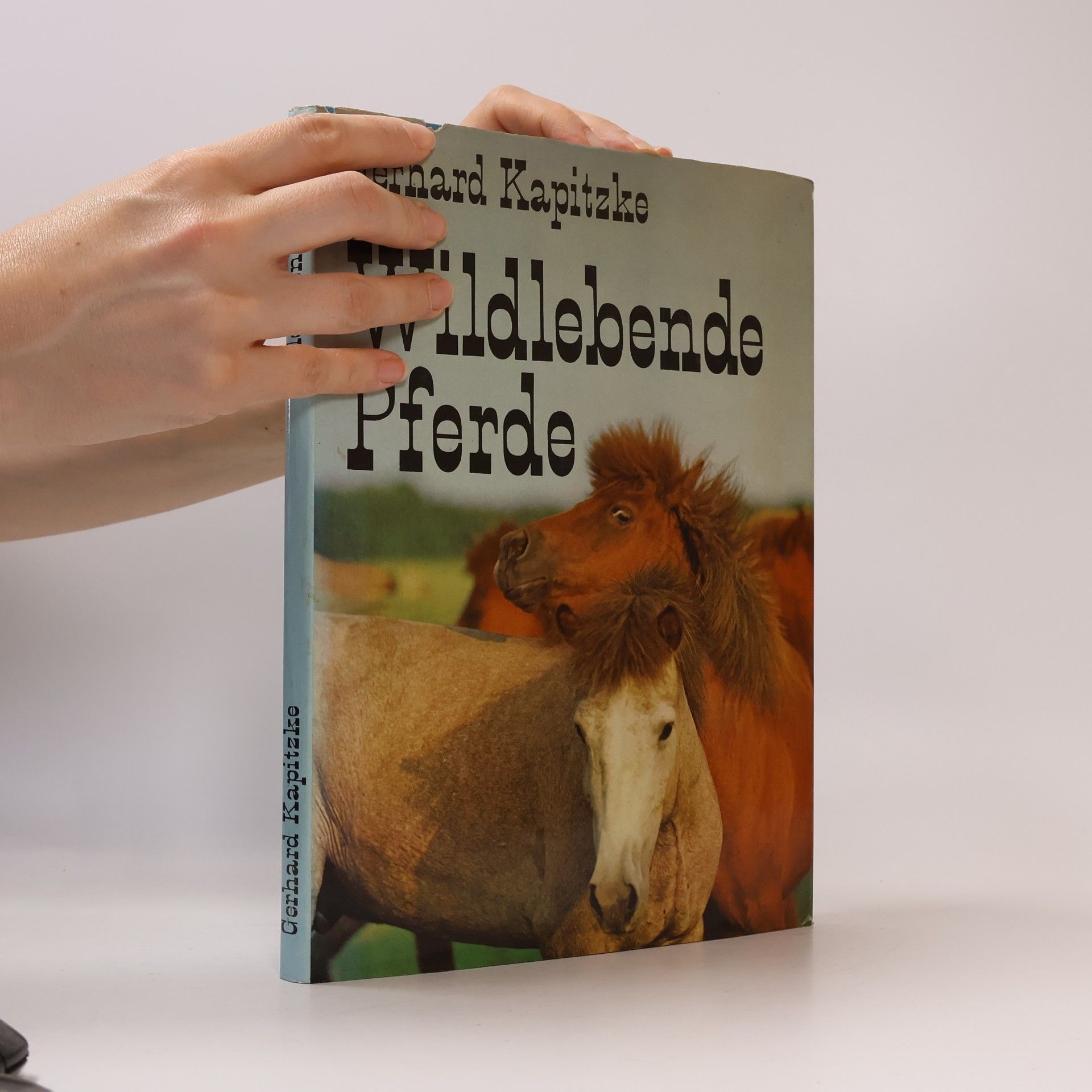 Gerhard Kapitzke Wildebende Pferde
