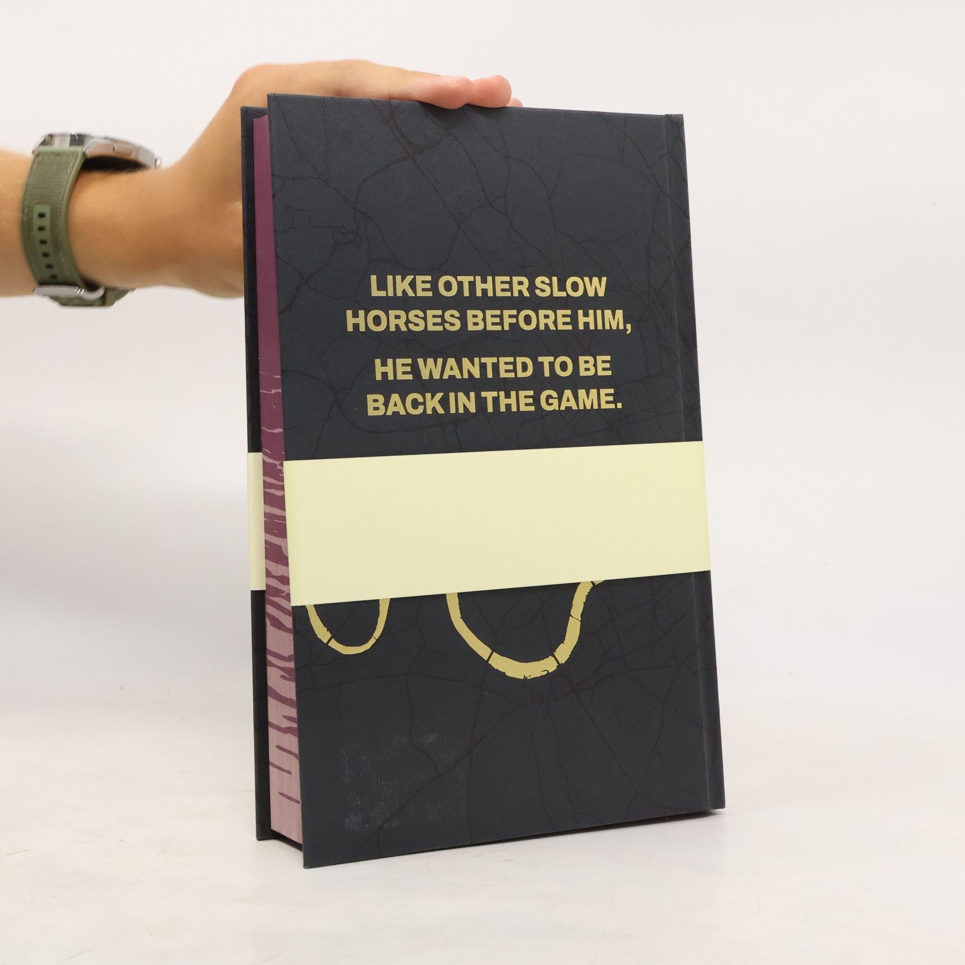 Mick Herron Slough House Thriller - 1: Slow Horses: Limited Special Anniversary Edition From ‘Britain’s Greatest Living Thriller Writer’