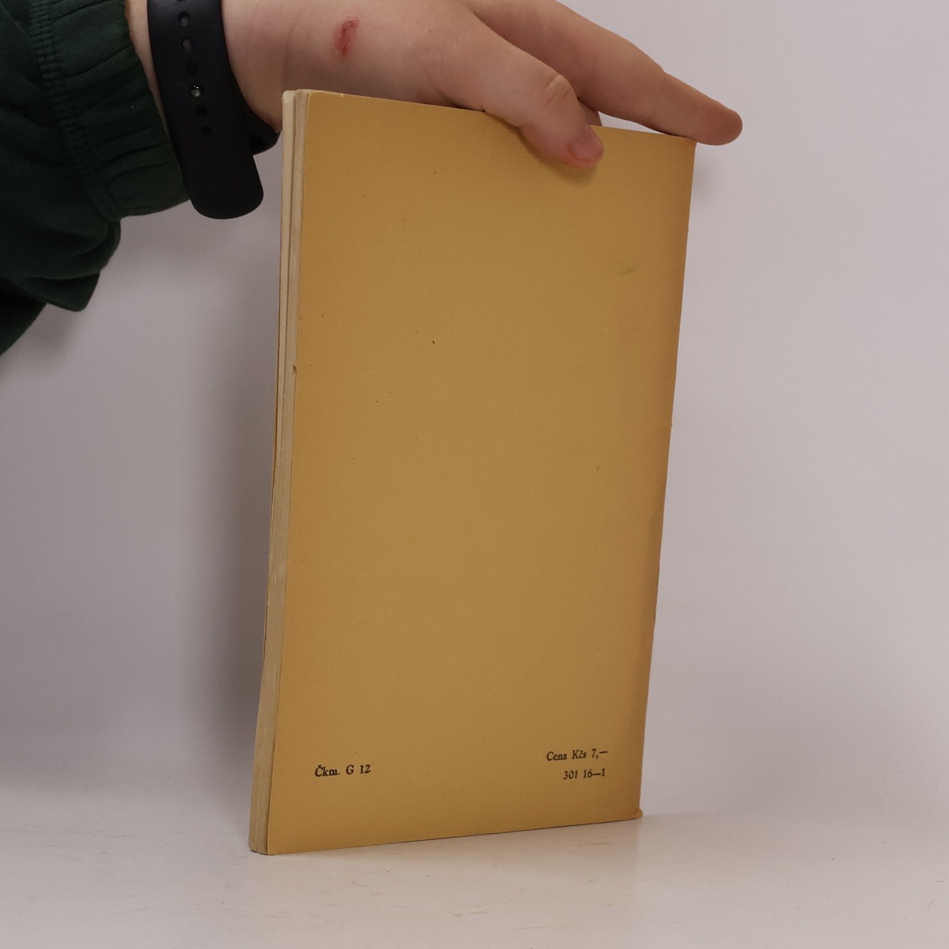 Karel Dvořák Základy theorie literatury