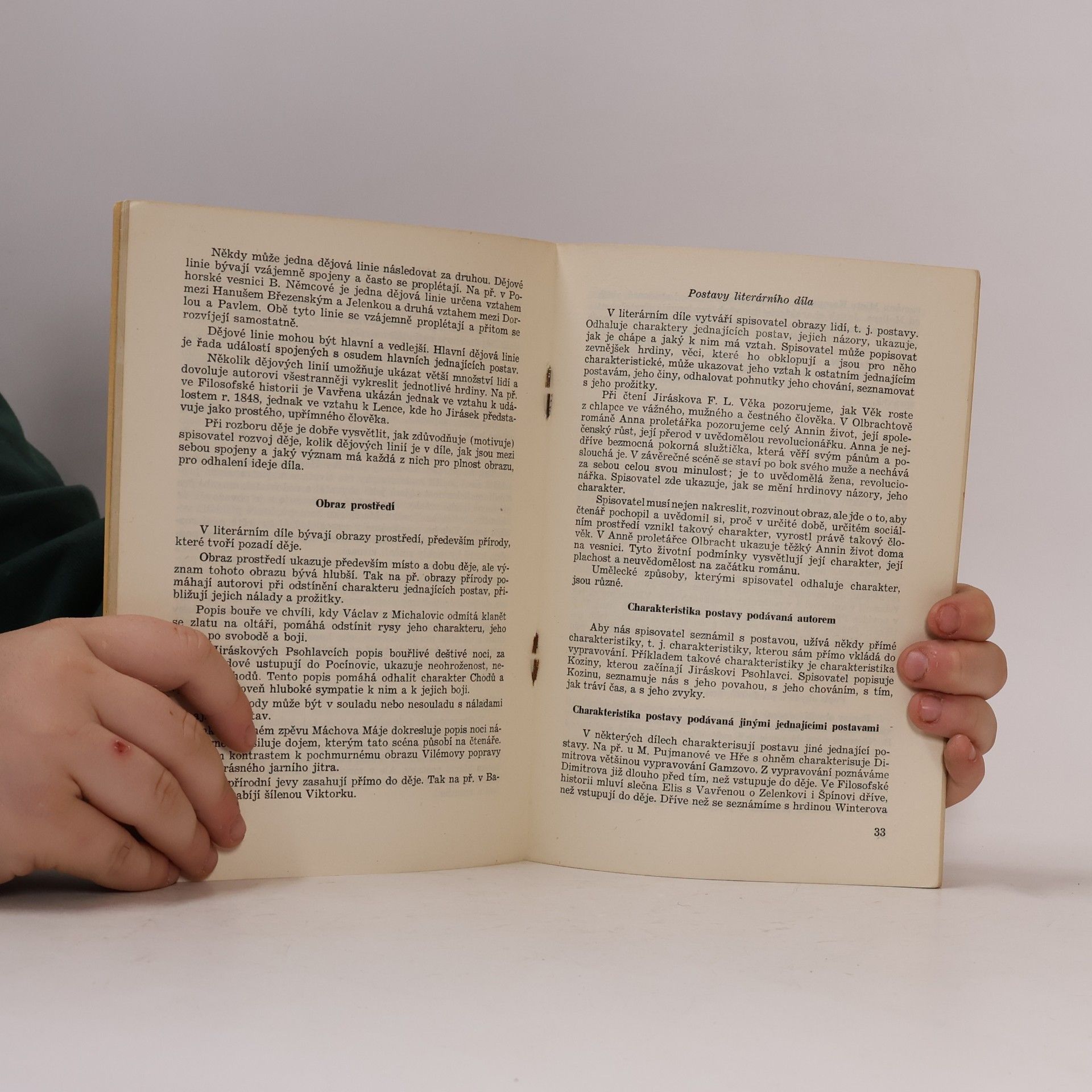 Karel Dvořák Základy theorie literatury