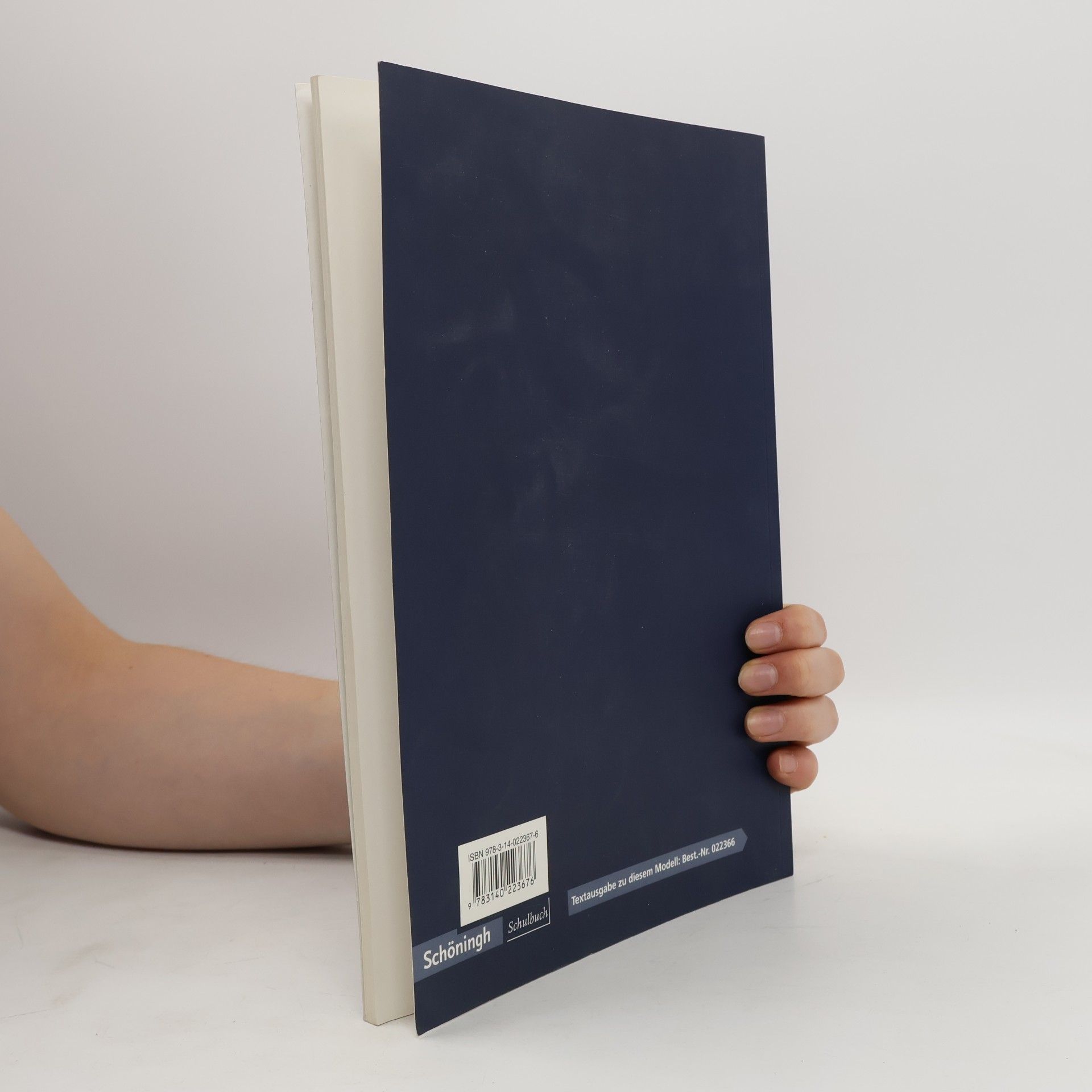 Die Künstlernovelle