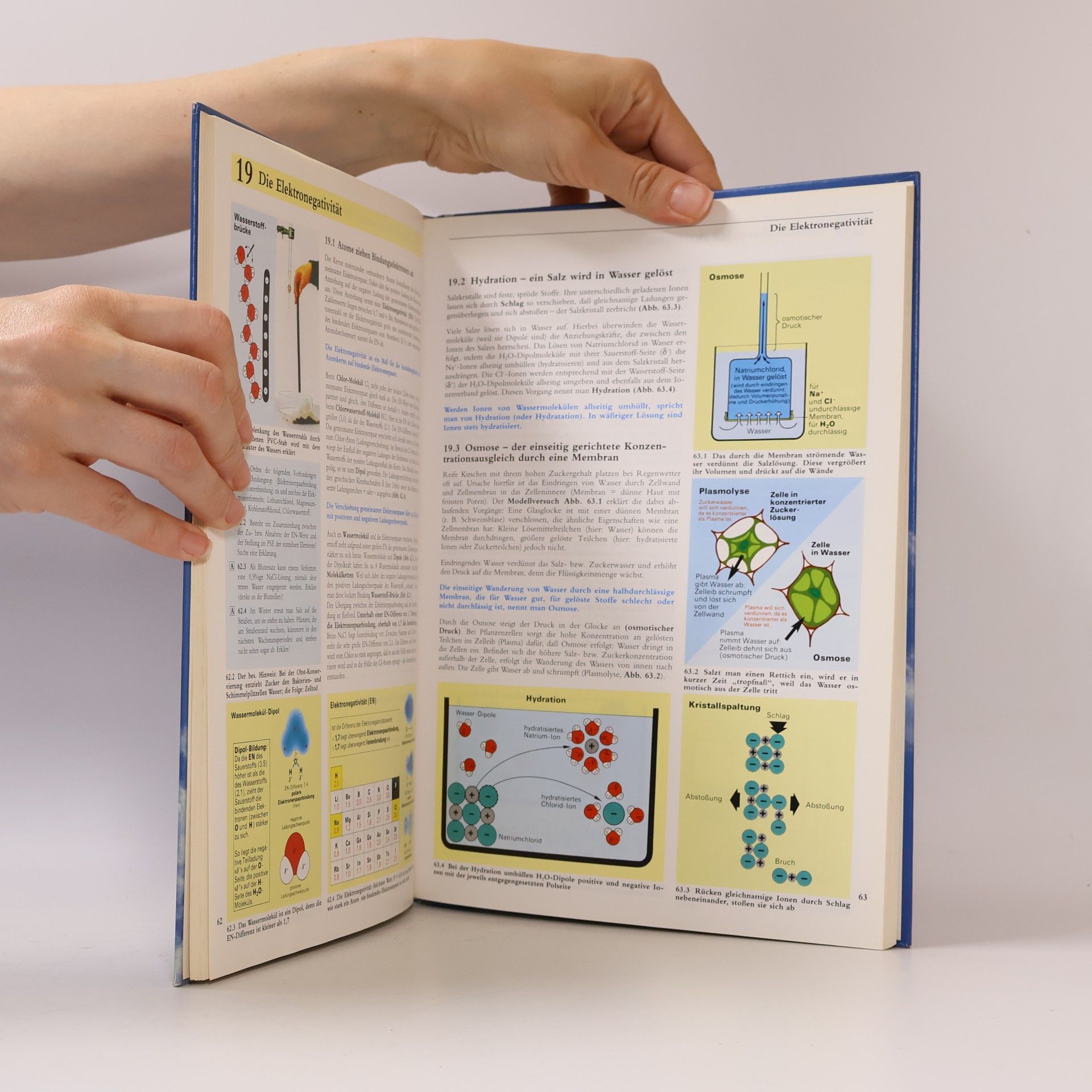 Dietmar Schuphan ChemieBuch