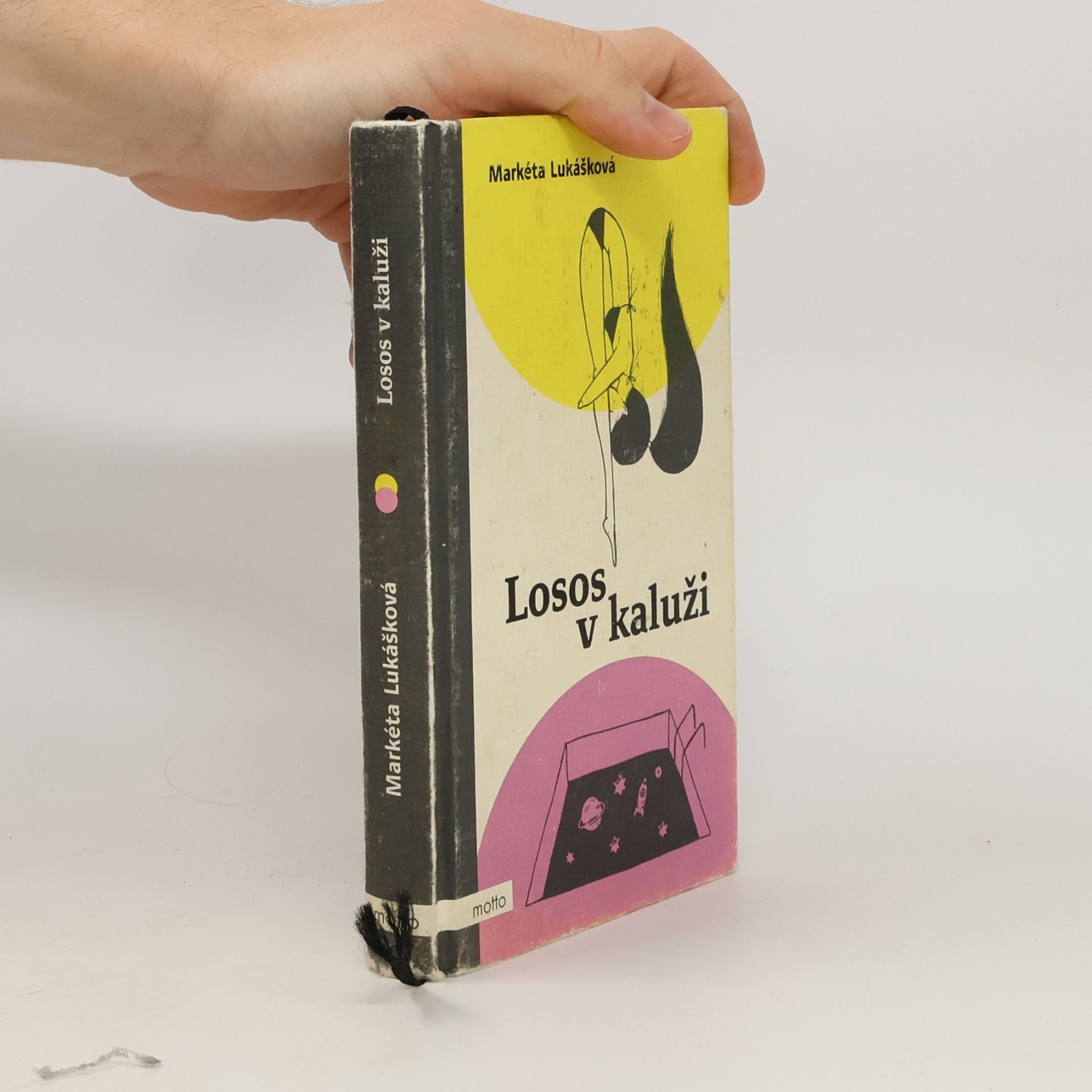 Markéta Lukášková Losos v kaluži