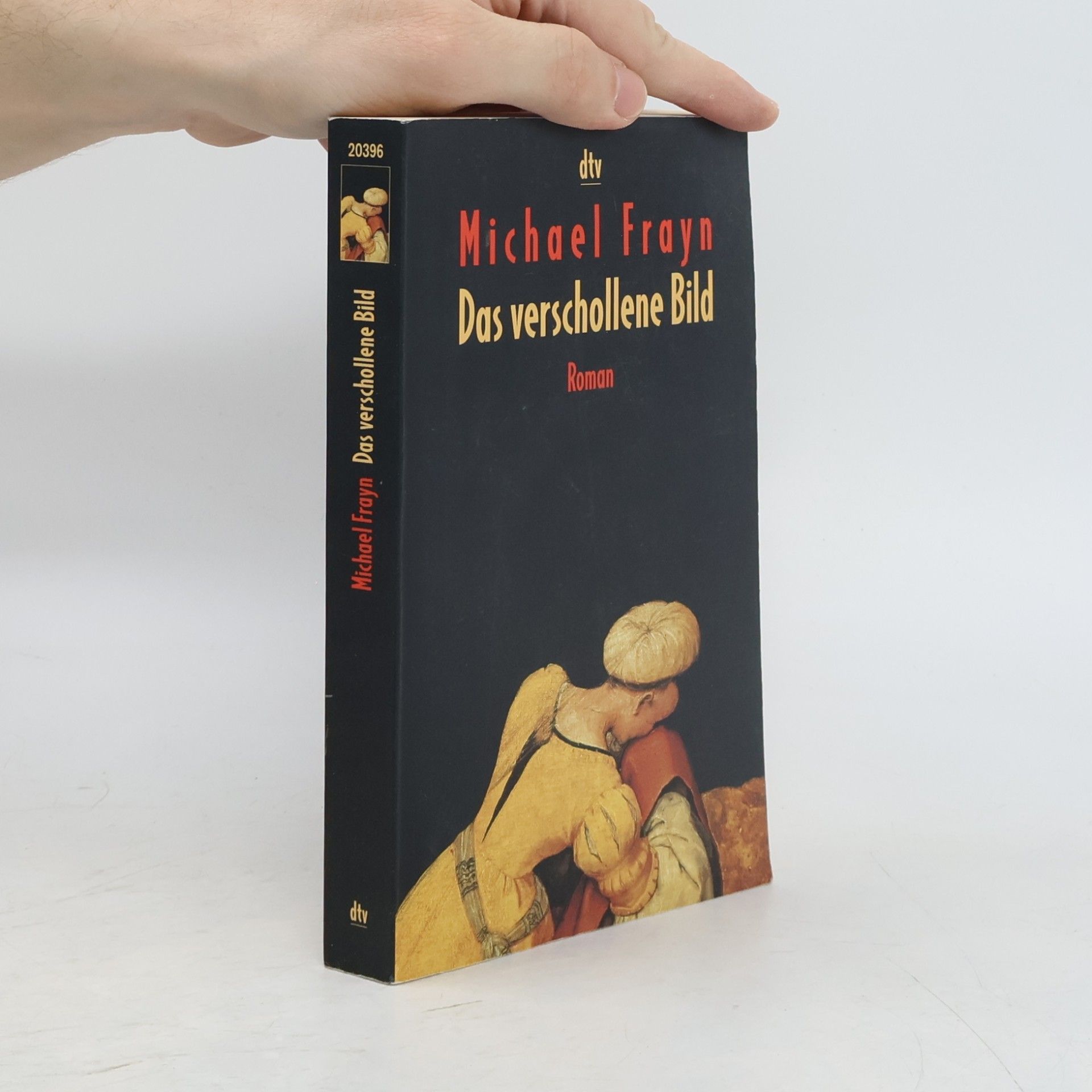 Michael Frayn Das verschollene Bild