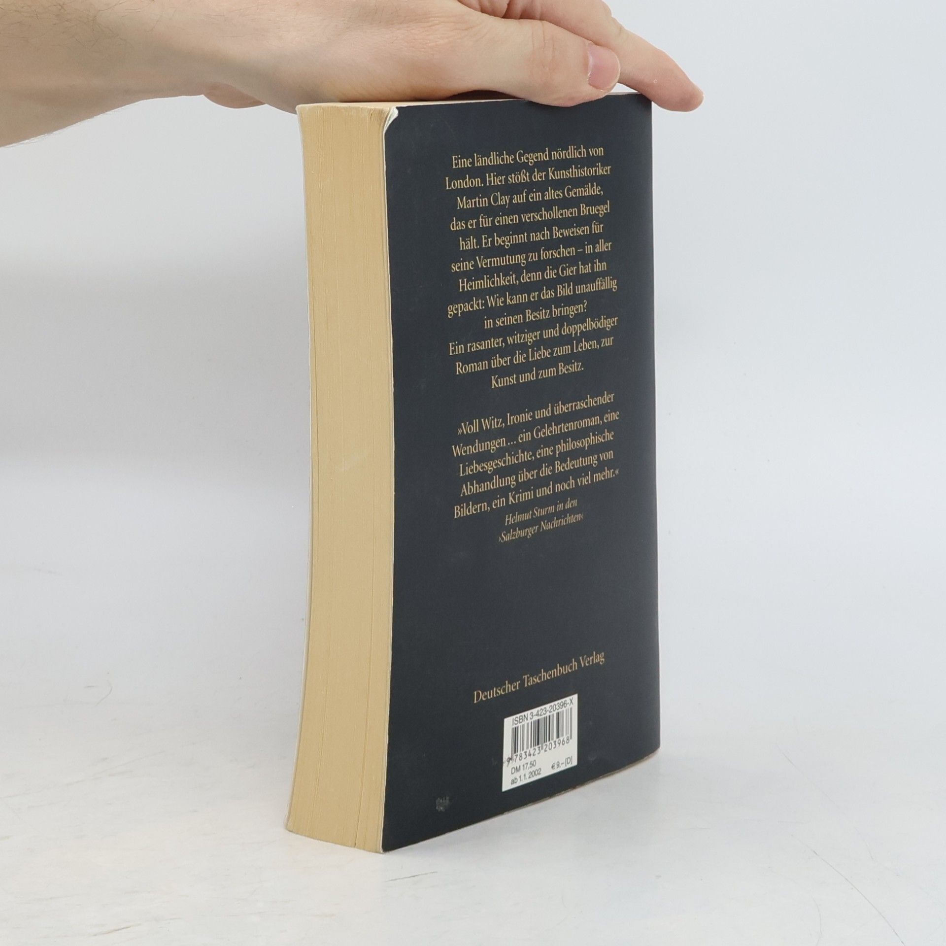 Michael Frayn Das verschollene Bild