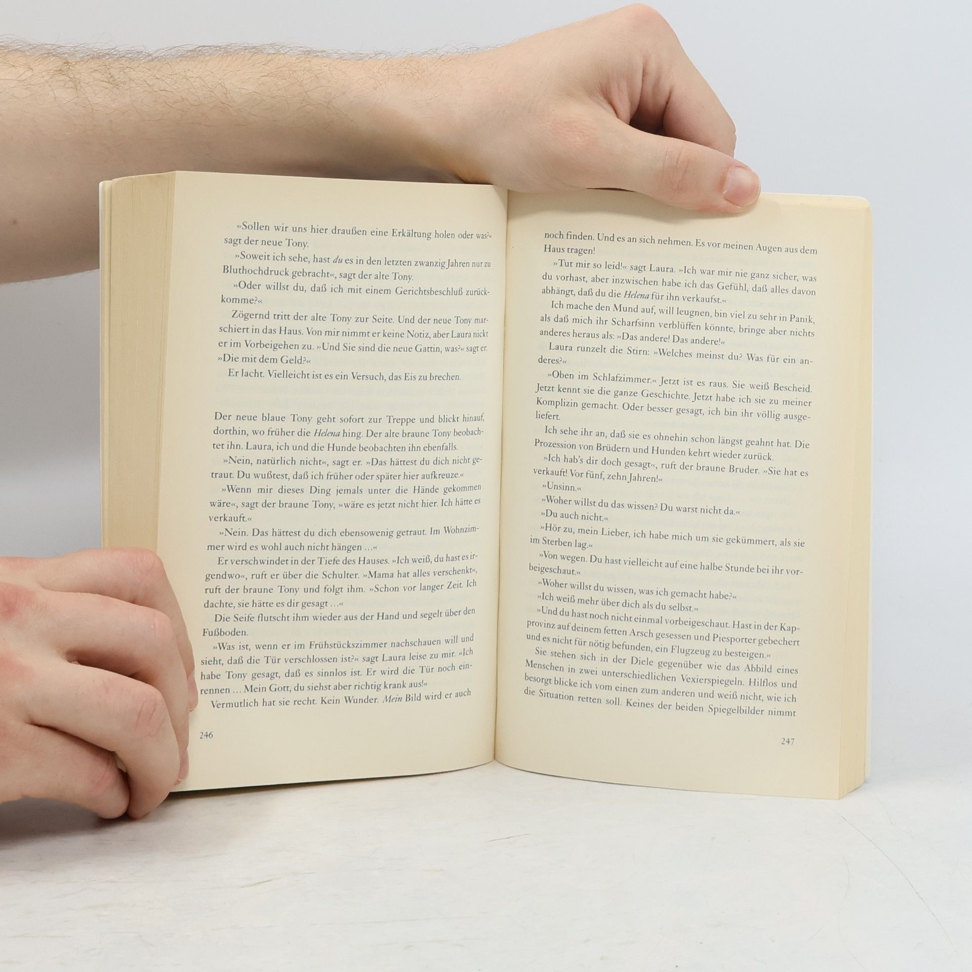 Michael Frayn Das verschollene Bild