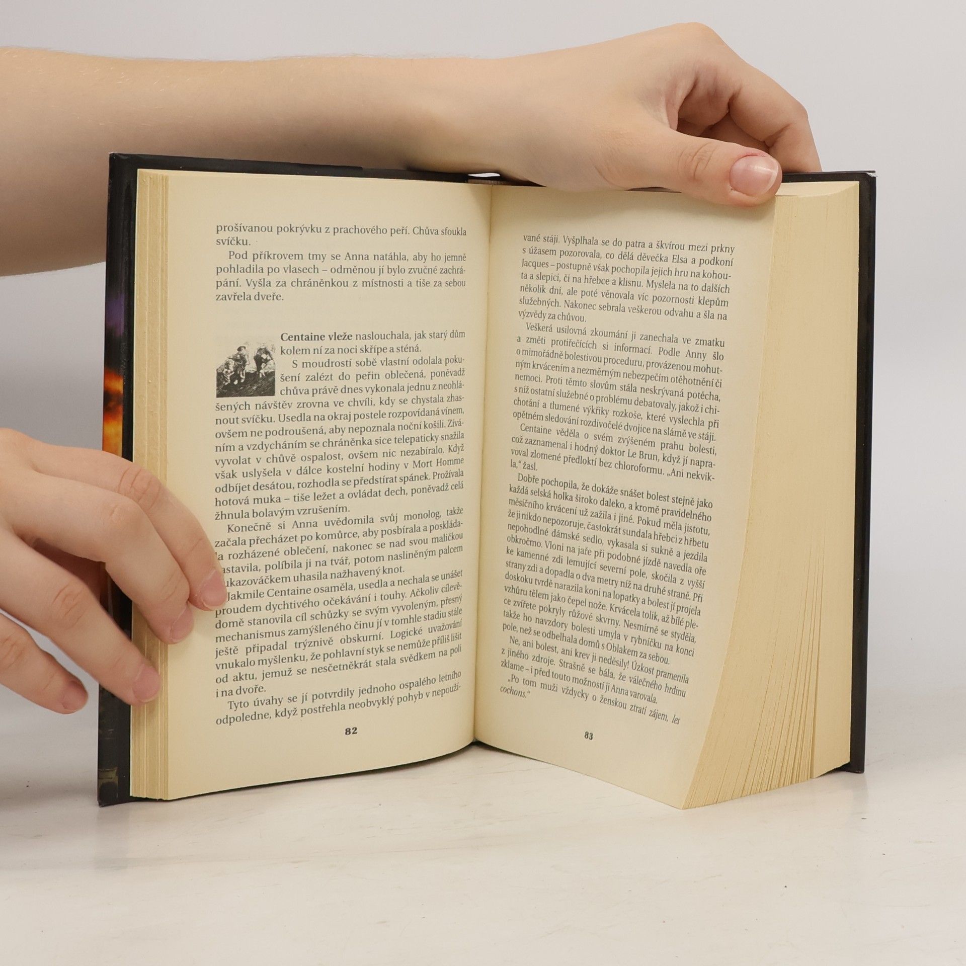 Wilbur Smith Pobřeží v plamenech