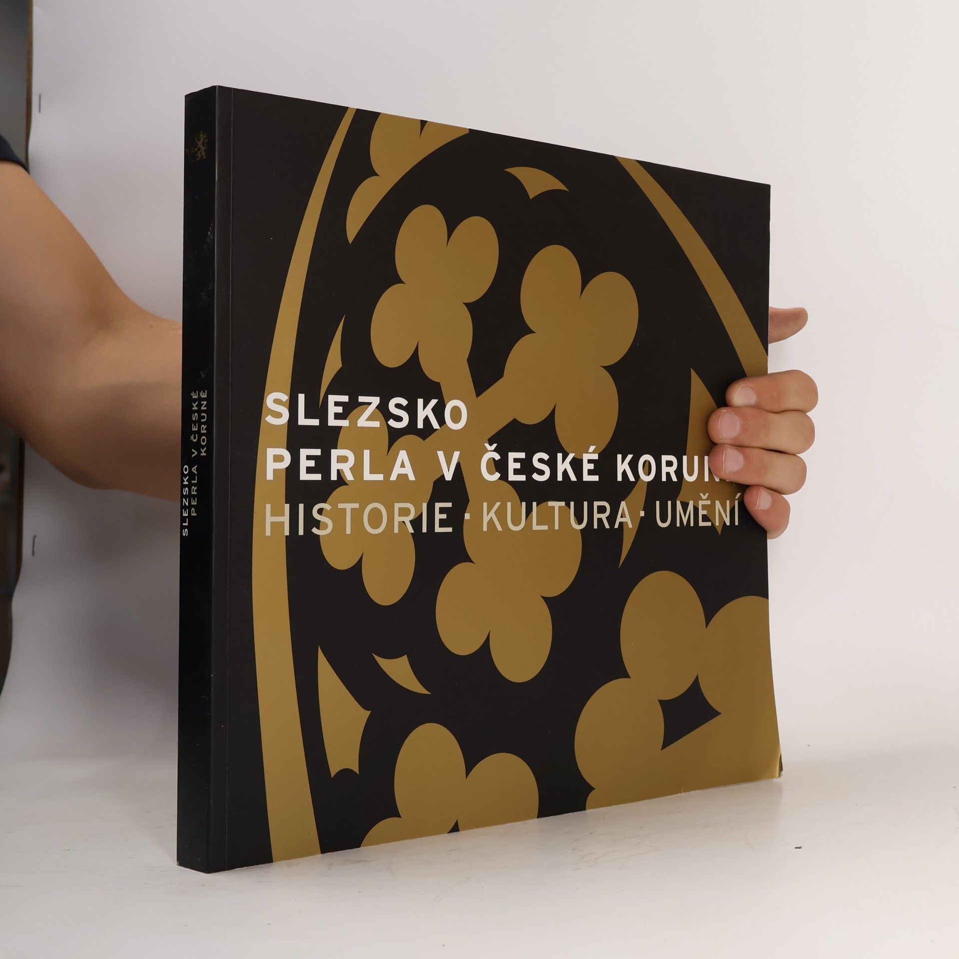 Vít Vlnas Slezsko - perla v České koruně. Historie - Kultura - Umění