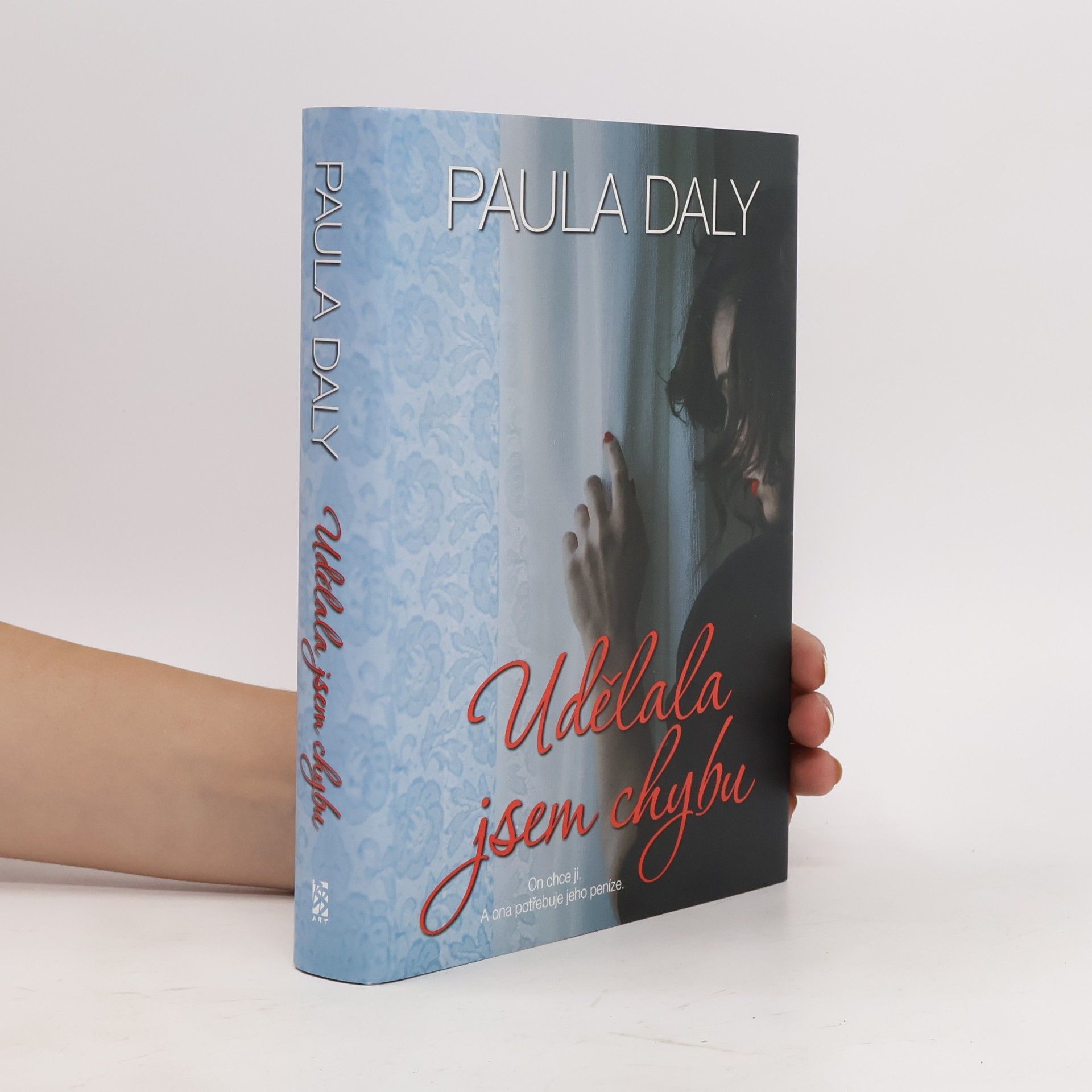 Paula Daly Udělala jsem chybu