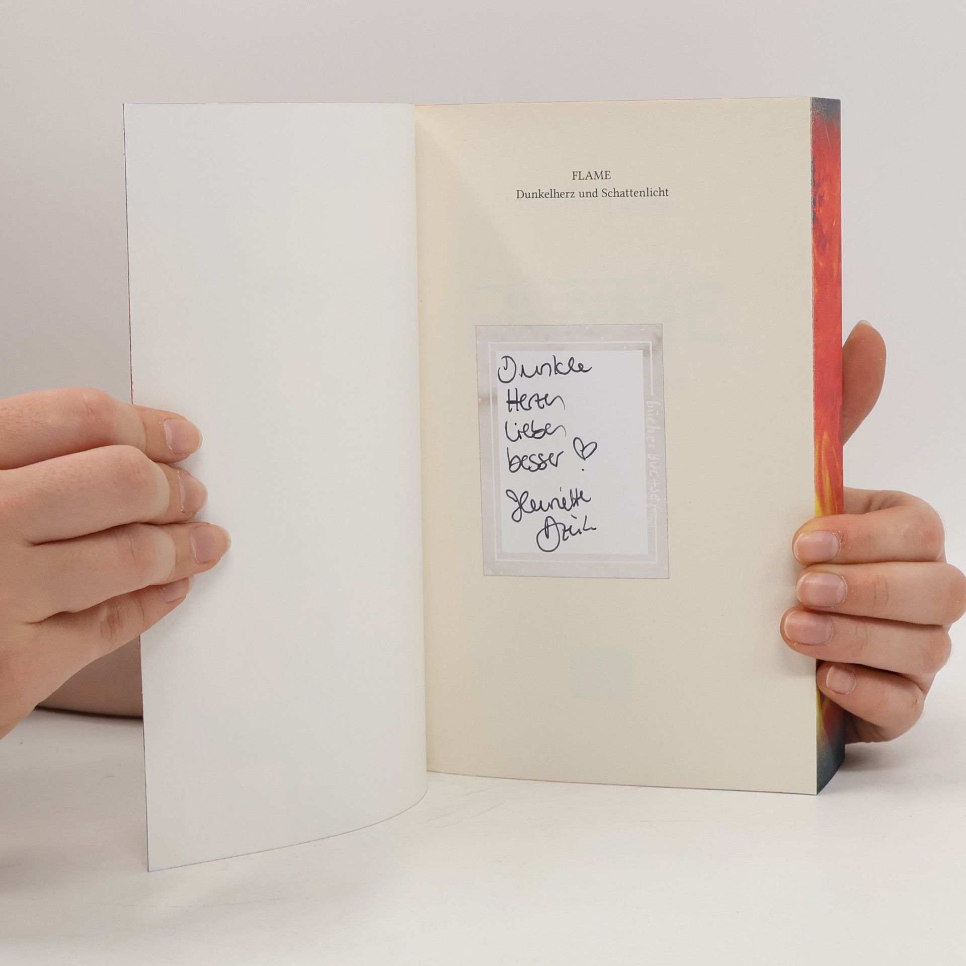Henriette Dzeik Flame 2: Dunkelherz und Schattenlicht