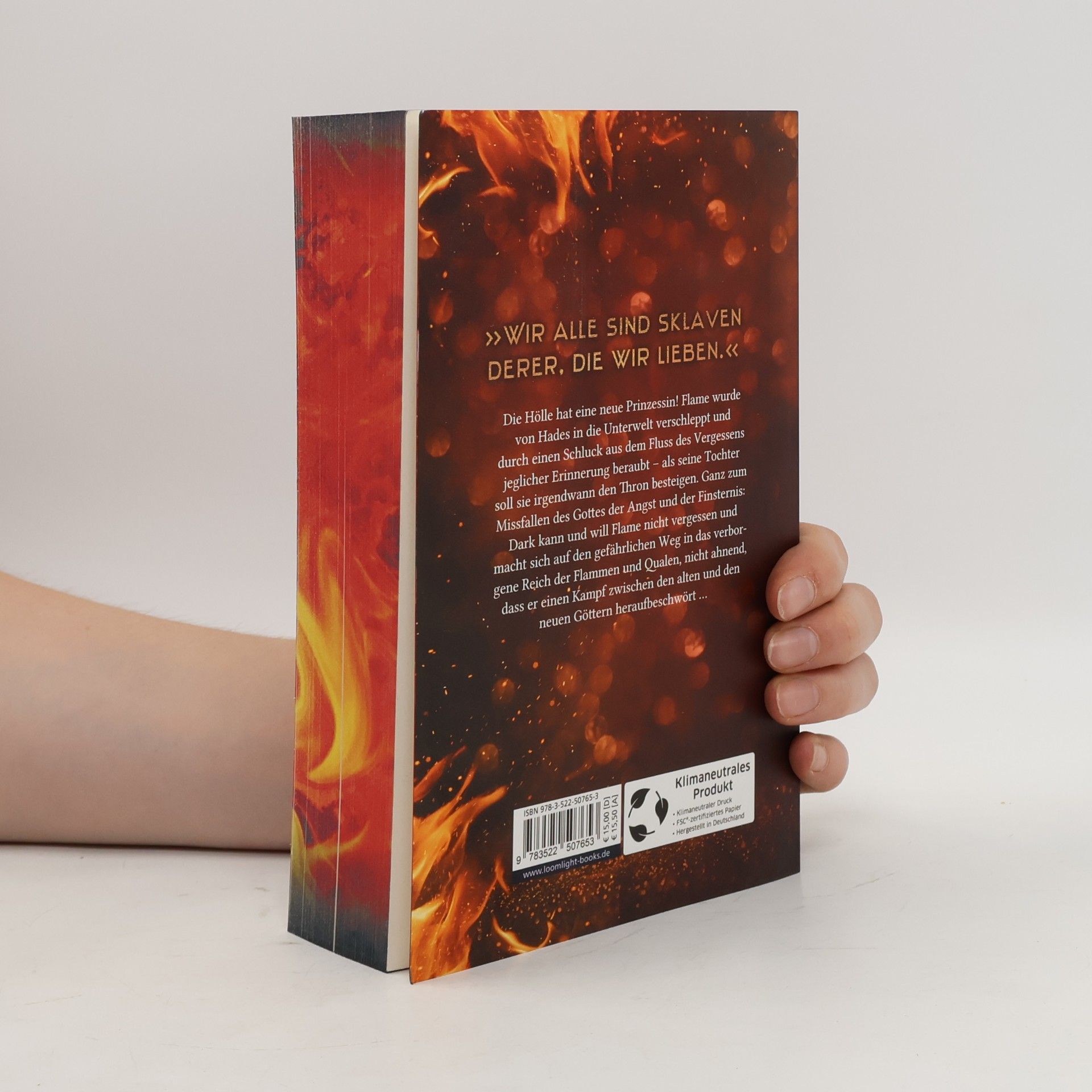 Henriette Dzeik Flame 2: Dunkelherz und Schattenlicht