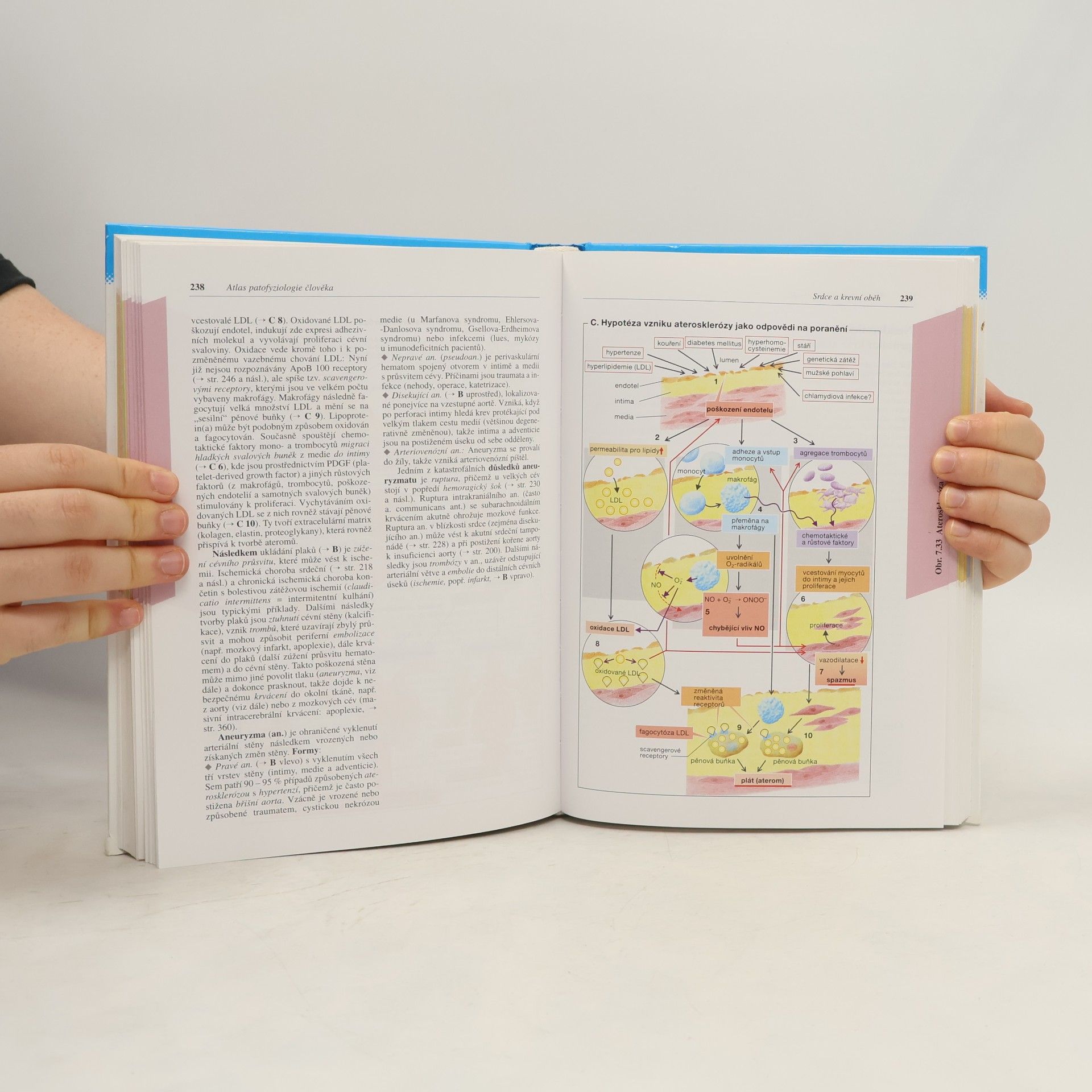 Stefan Silbernagl Atlas patofyziologie člověka