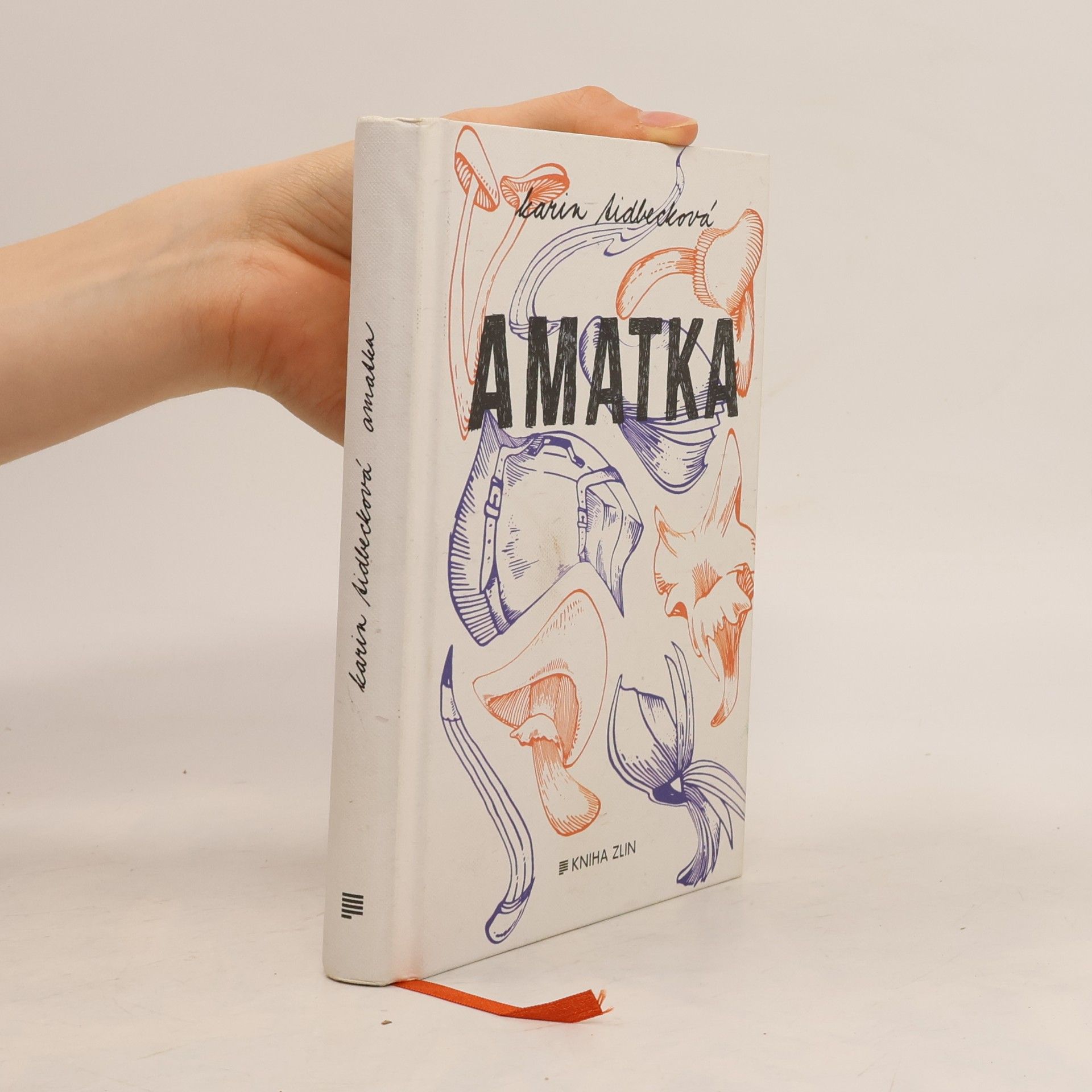 Karin Tidbeck Amatka