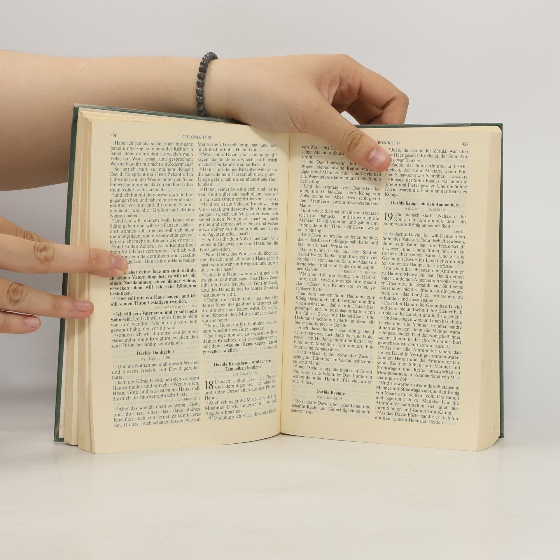 Martin Luther Die Bibel