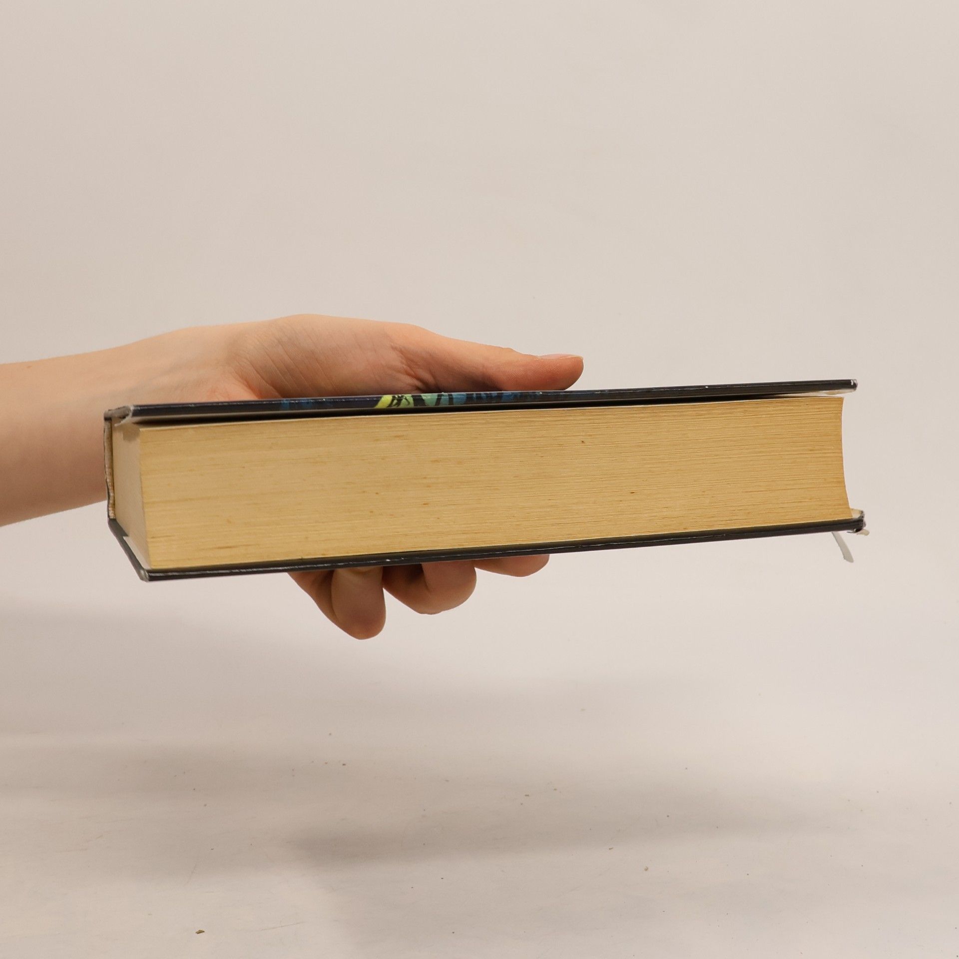 Jeffery Deaver Dívčí hrob