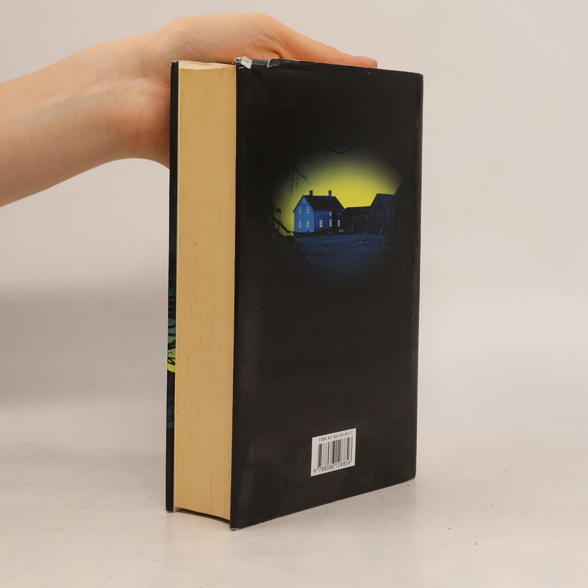 Jeffery Deaver Dívčí hrob