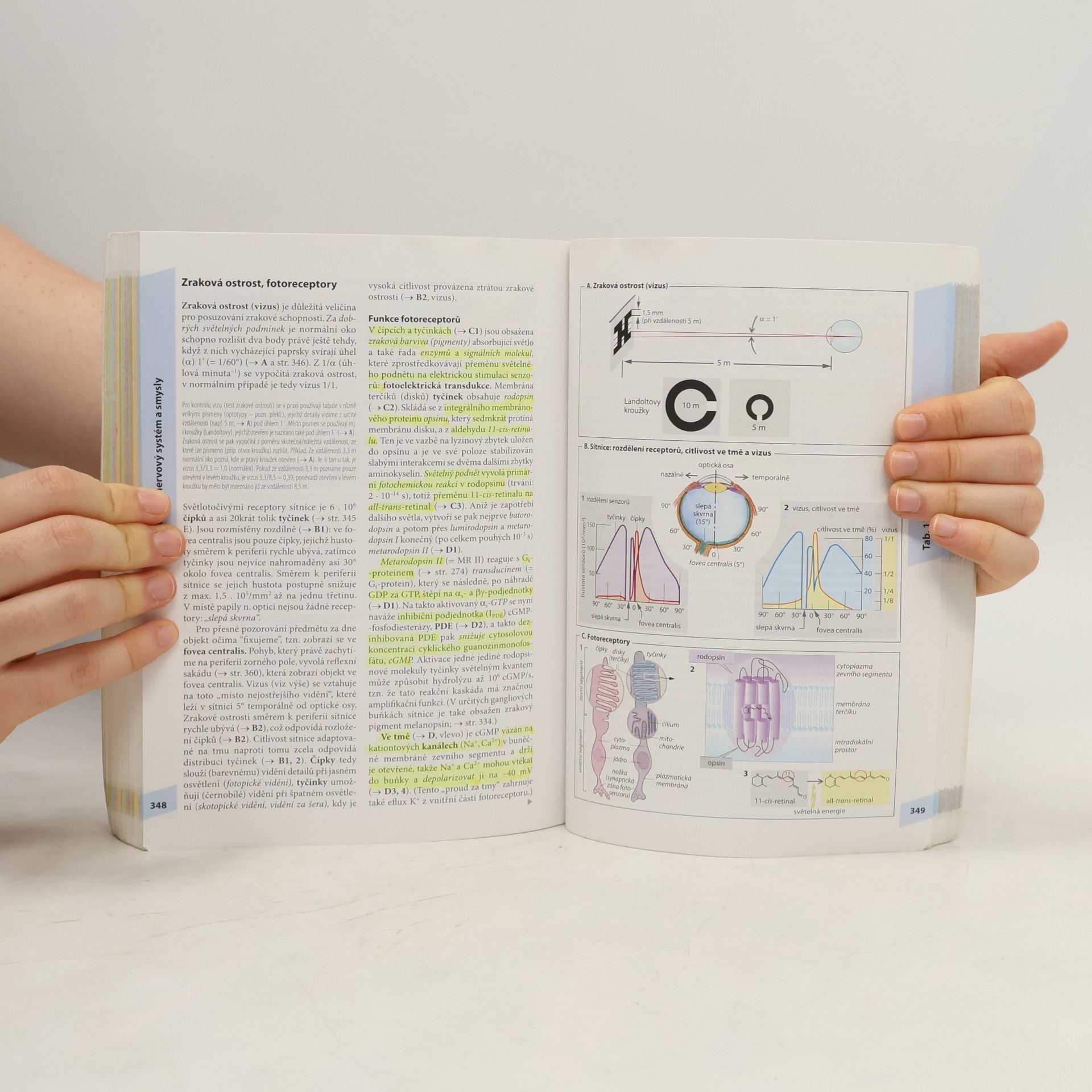 Stefan Silbernagl Atlas fyziologie člověka