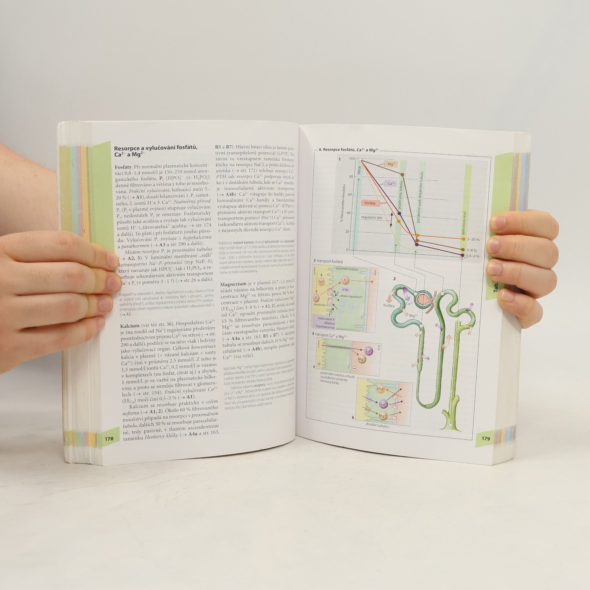 Stefan Silbernagl Atlas fyziologie člověka
