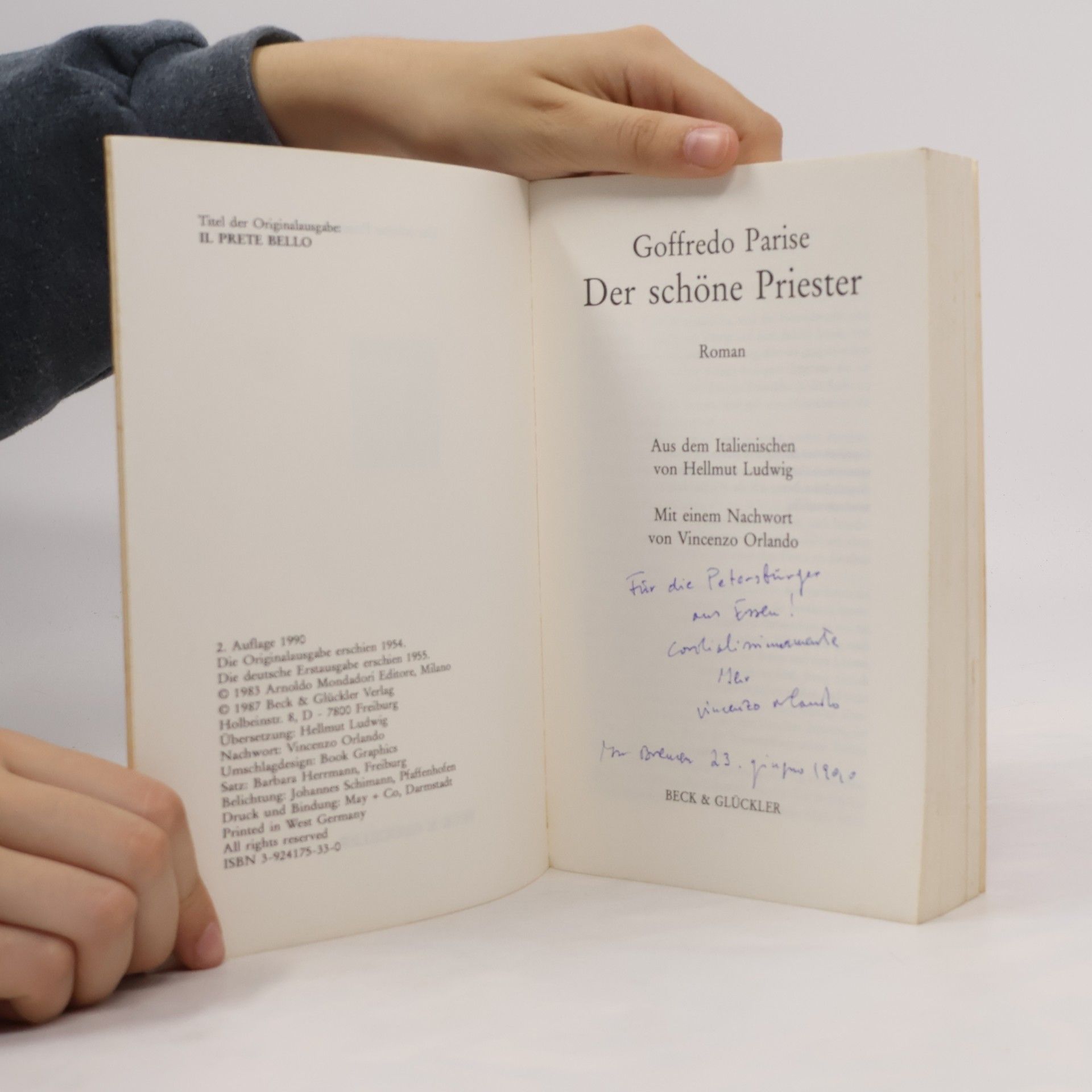 Goffredo Parise Der schöne Priester