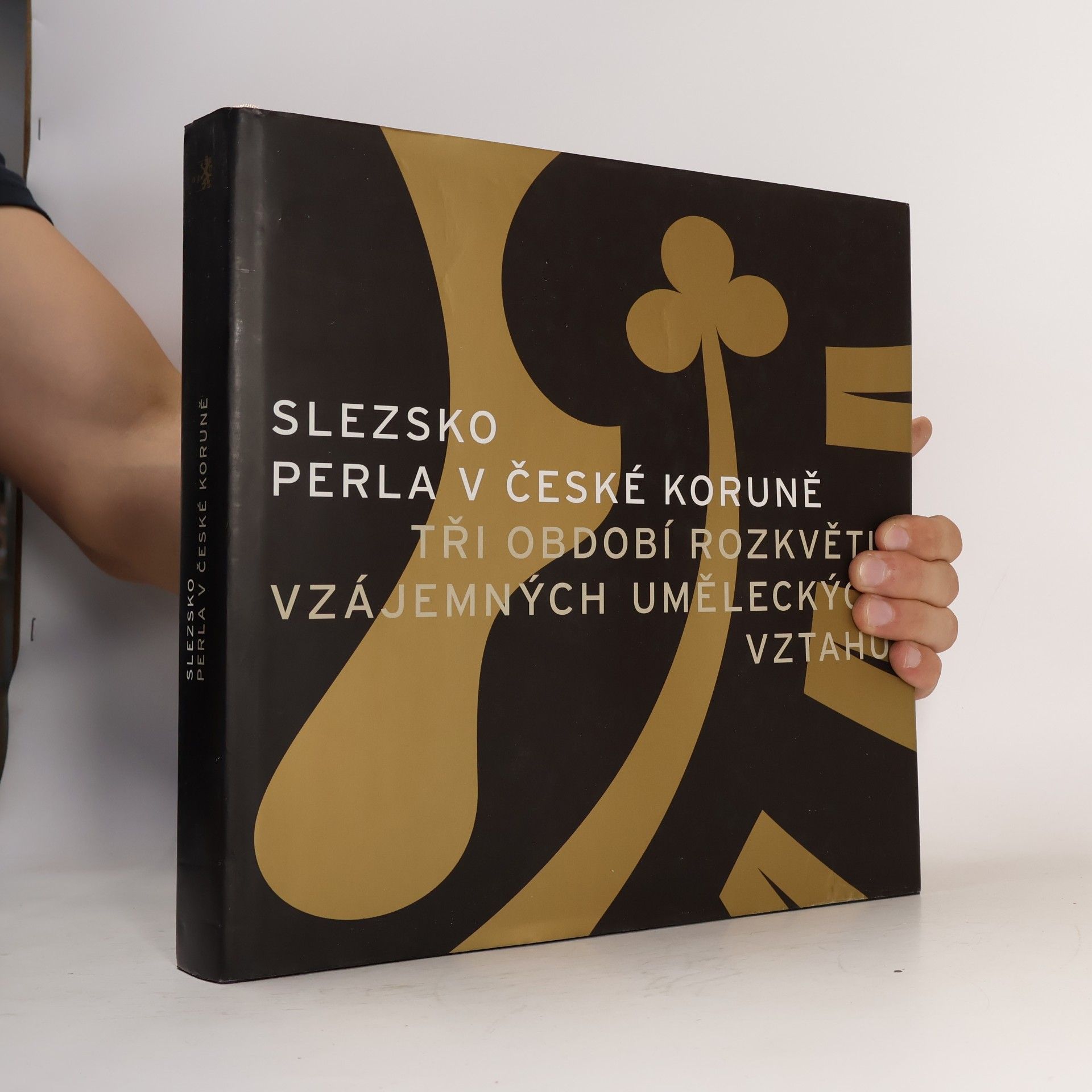 Slezsko, perla v České koruně