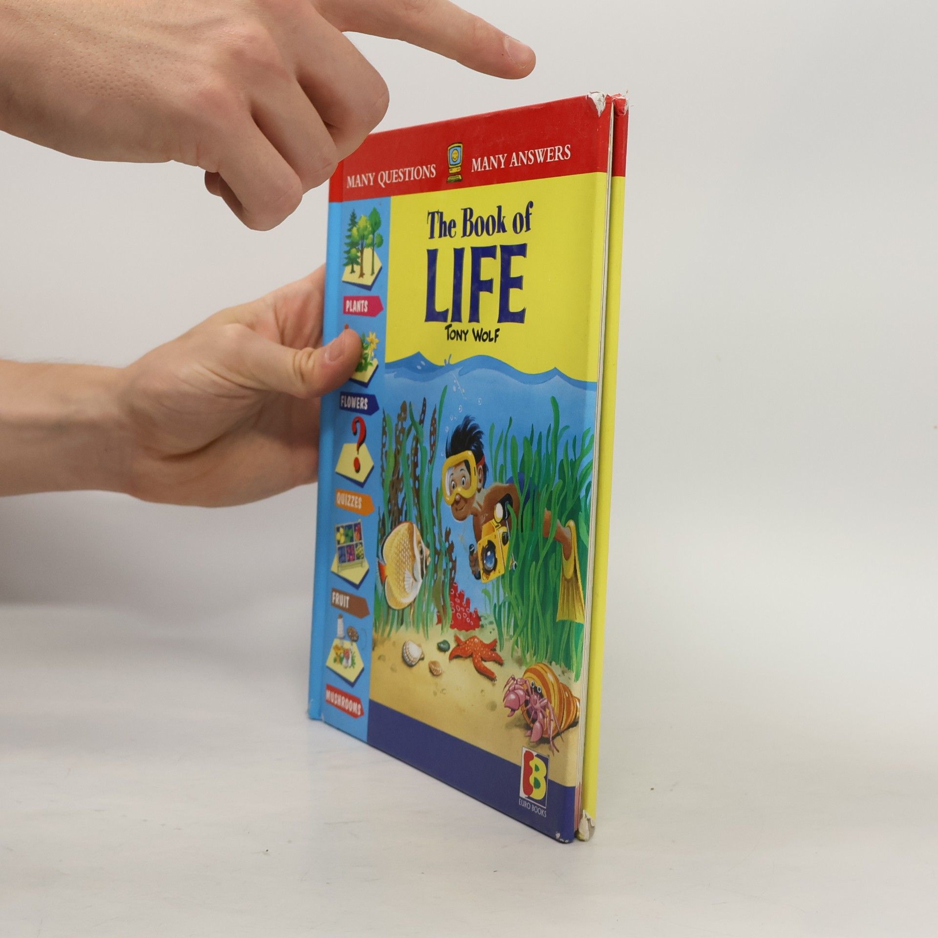 Antonio Lupatelli The Book of Life