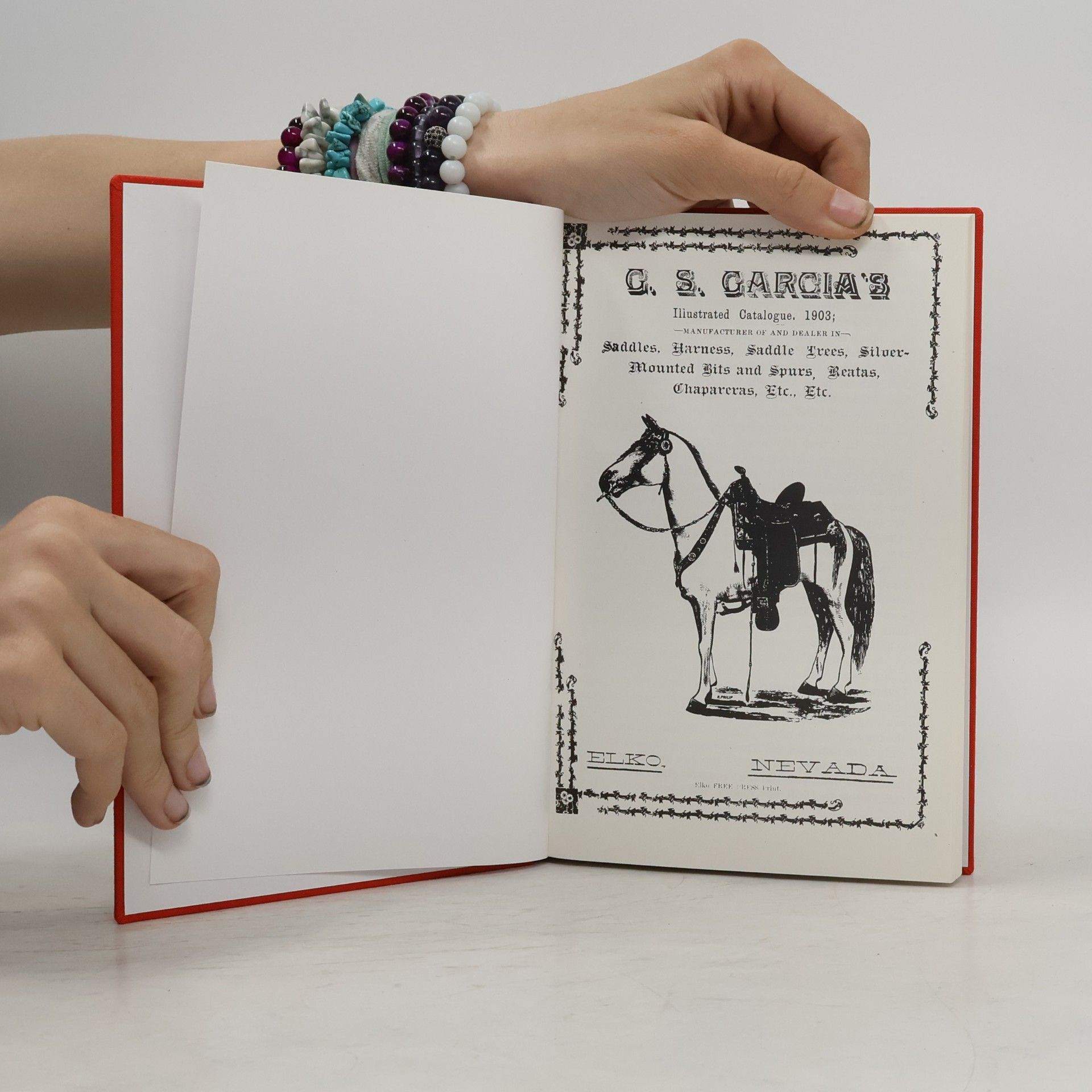 Autorenkollektiv G.S. Garcia's Illustrated Catalogue 1903