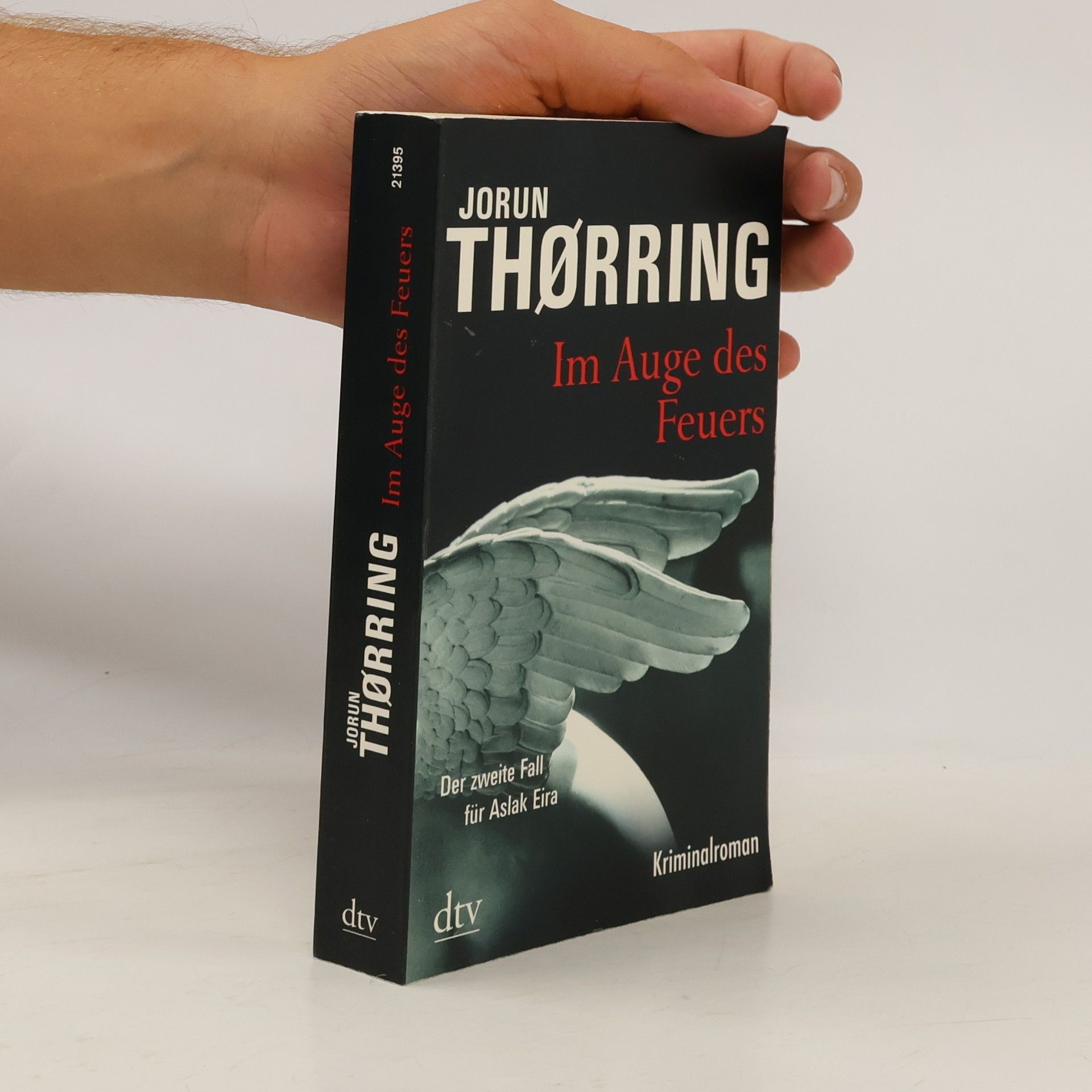 Jorun Thørring Im Auge des Feuers. Kriminalroman