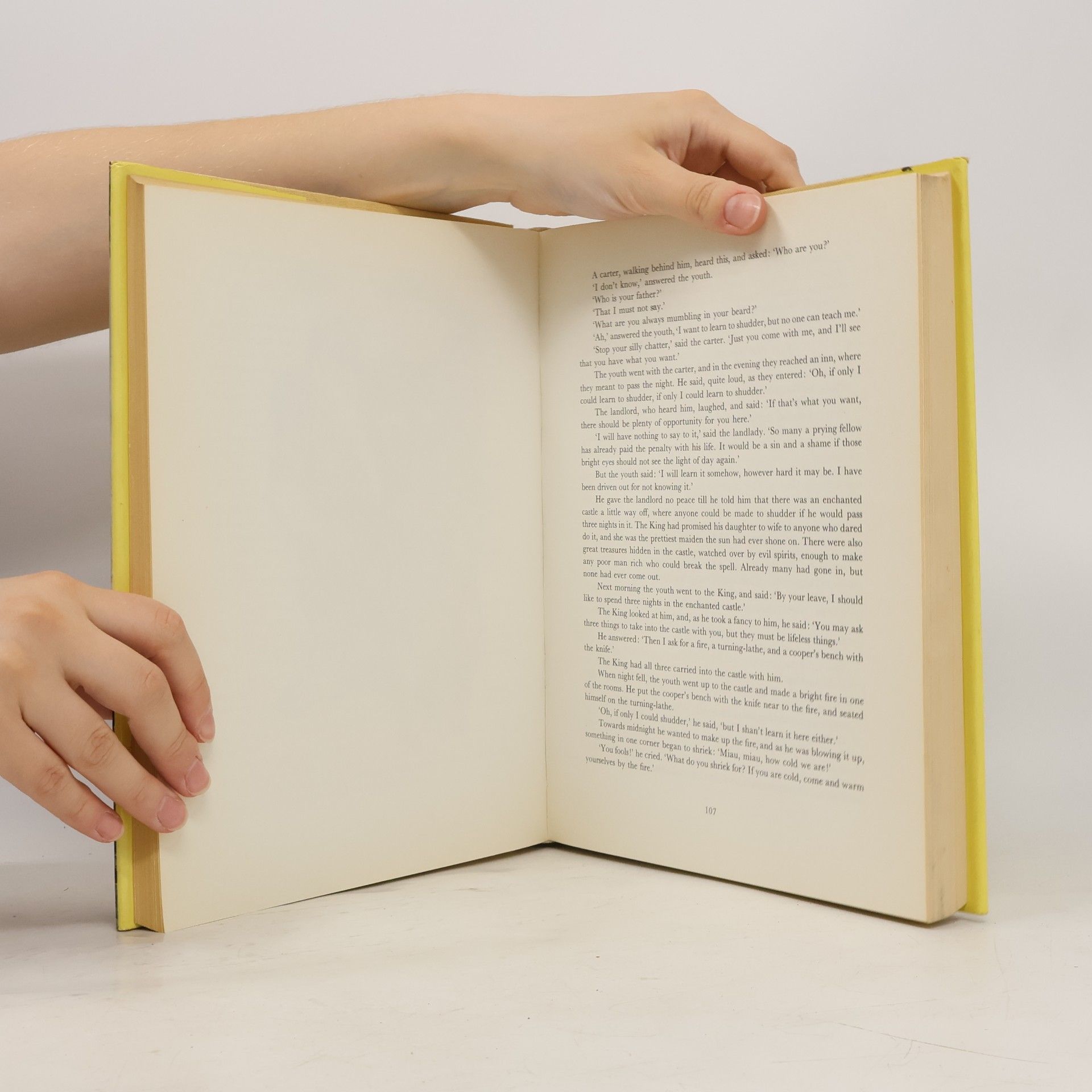 Jacob Grimm Favorite Tales from Grimm and Andersen