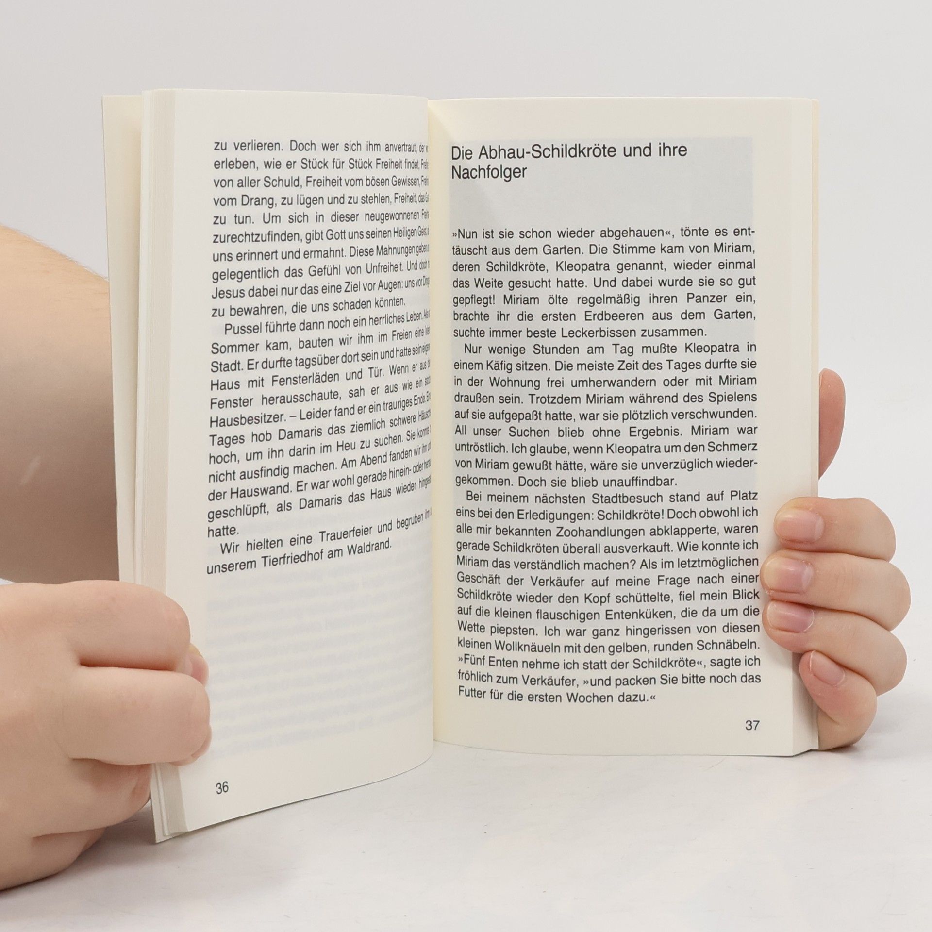 Ruth Heil Zehn Kinder und ein Zoo