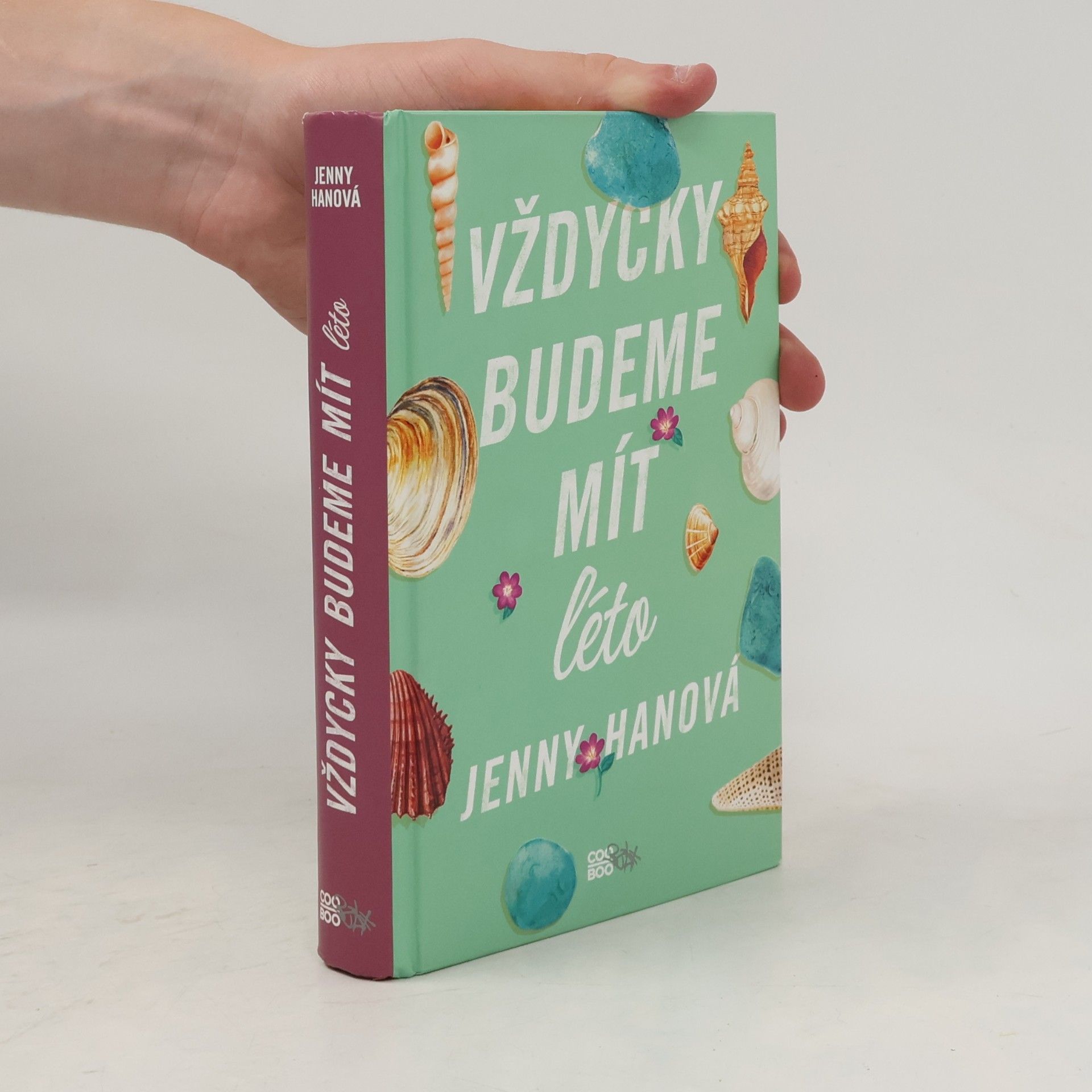 Jenny Han Vždycky budeme mít léto