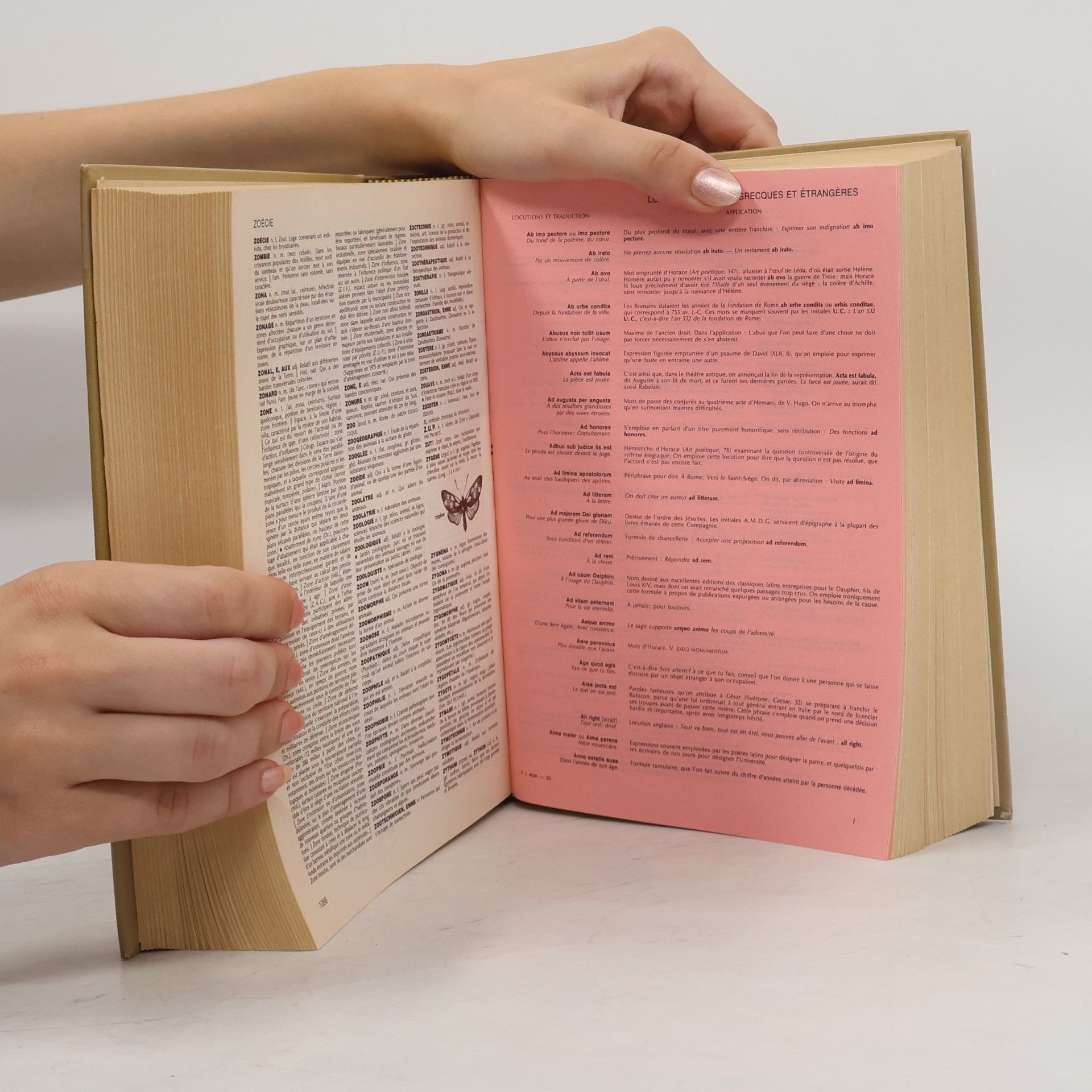Autorenkollektiv Le Petit Larousse illustré