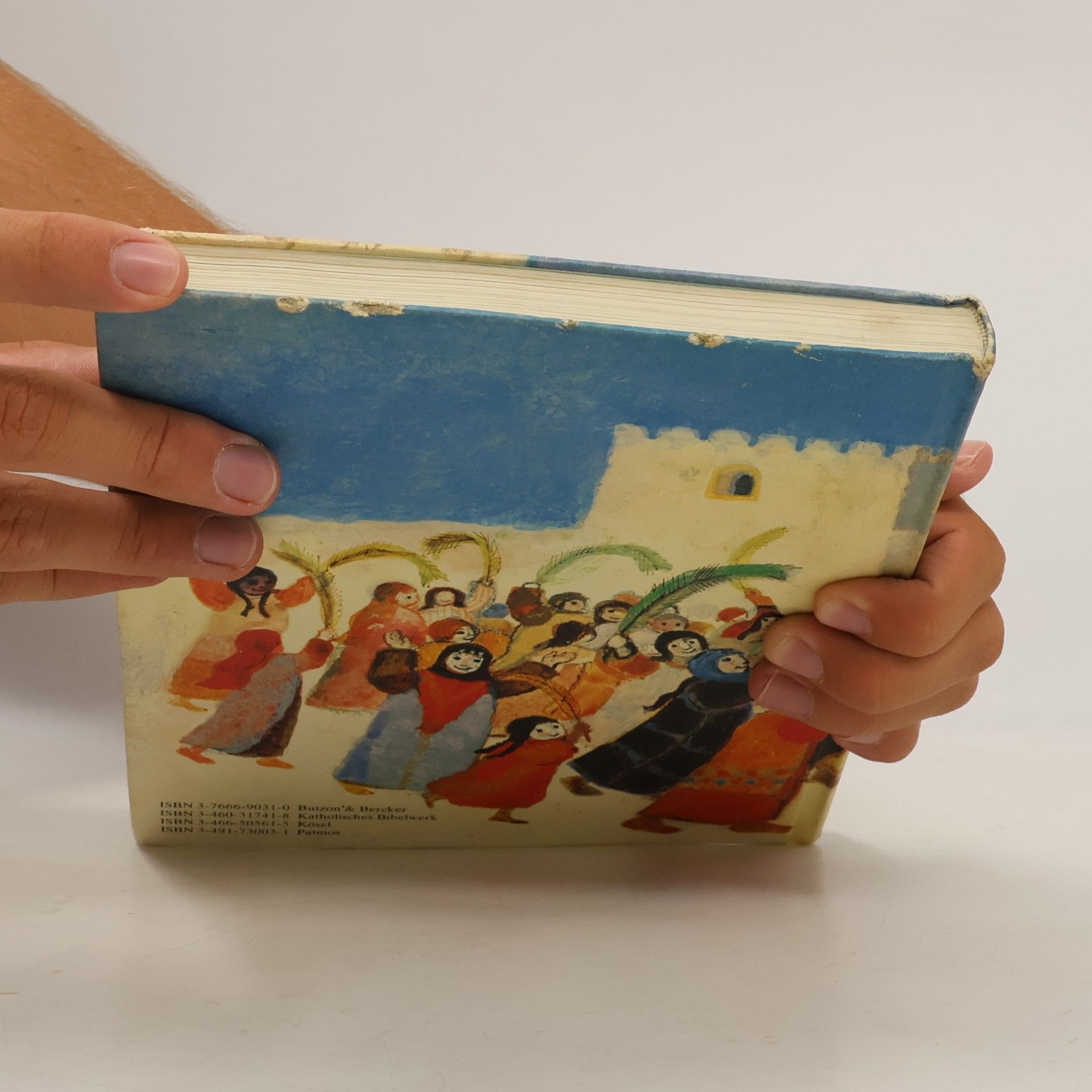 Deutschen Bischofskonferenz Bibel für die Grundschule