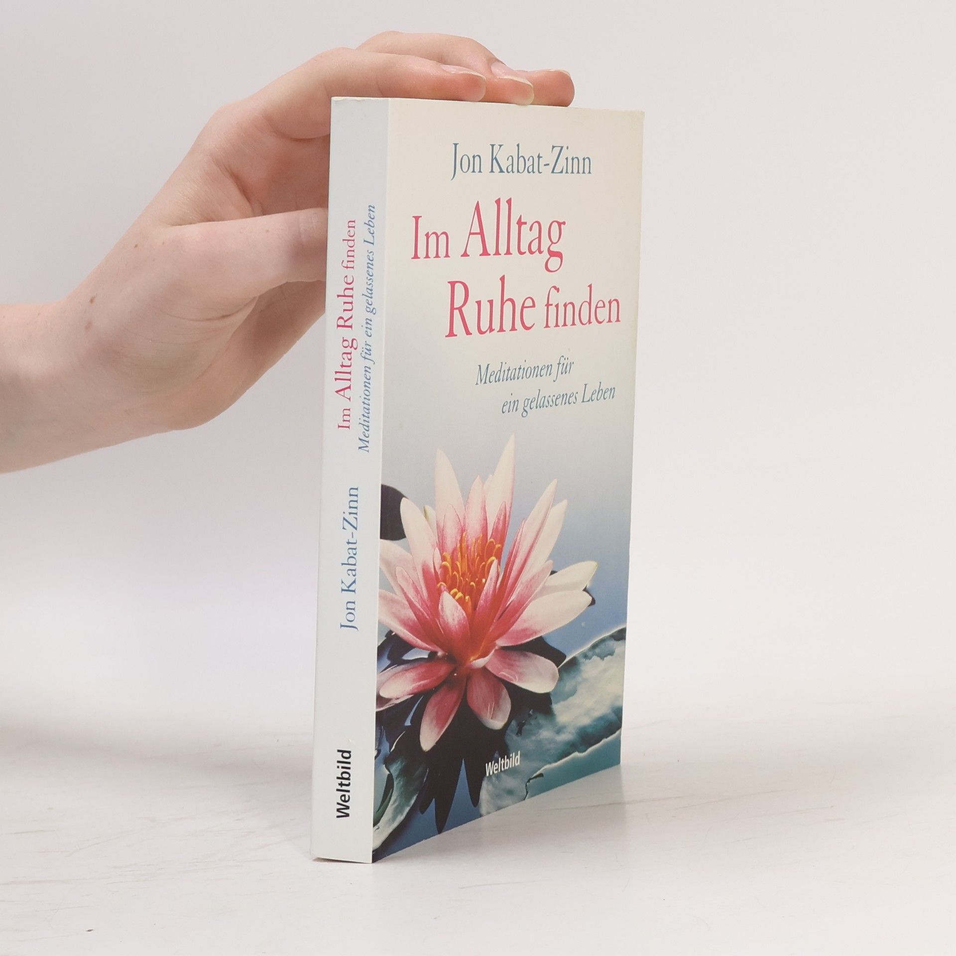Jon Kabat Zinn Im Alltag Ruhe finden