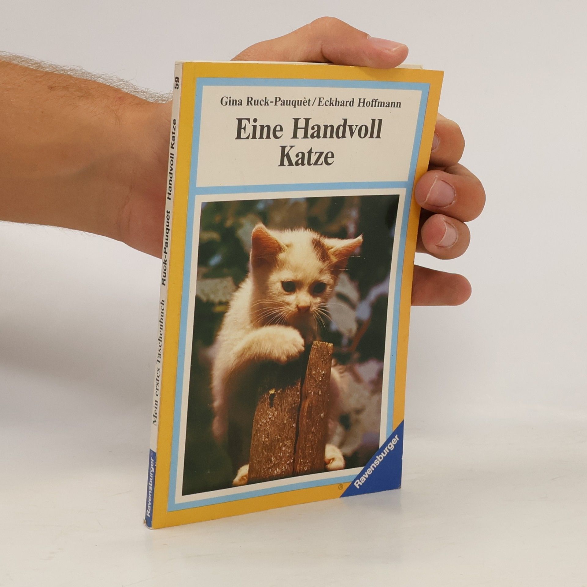 Eine Handvoll Katze. Erste Lebenswochen eines Katzenkindes