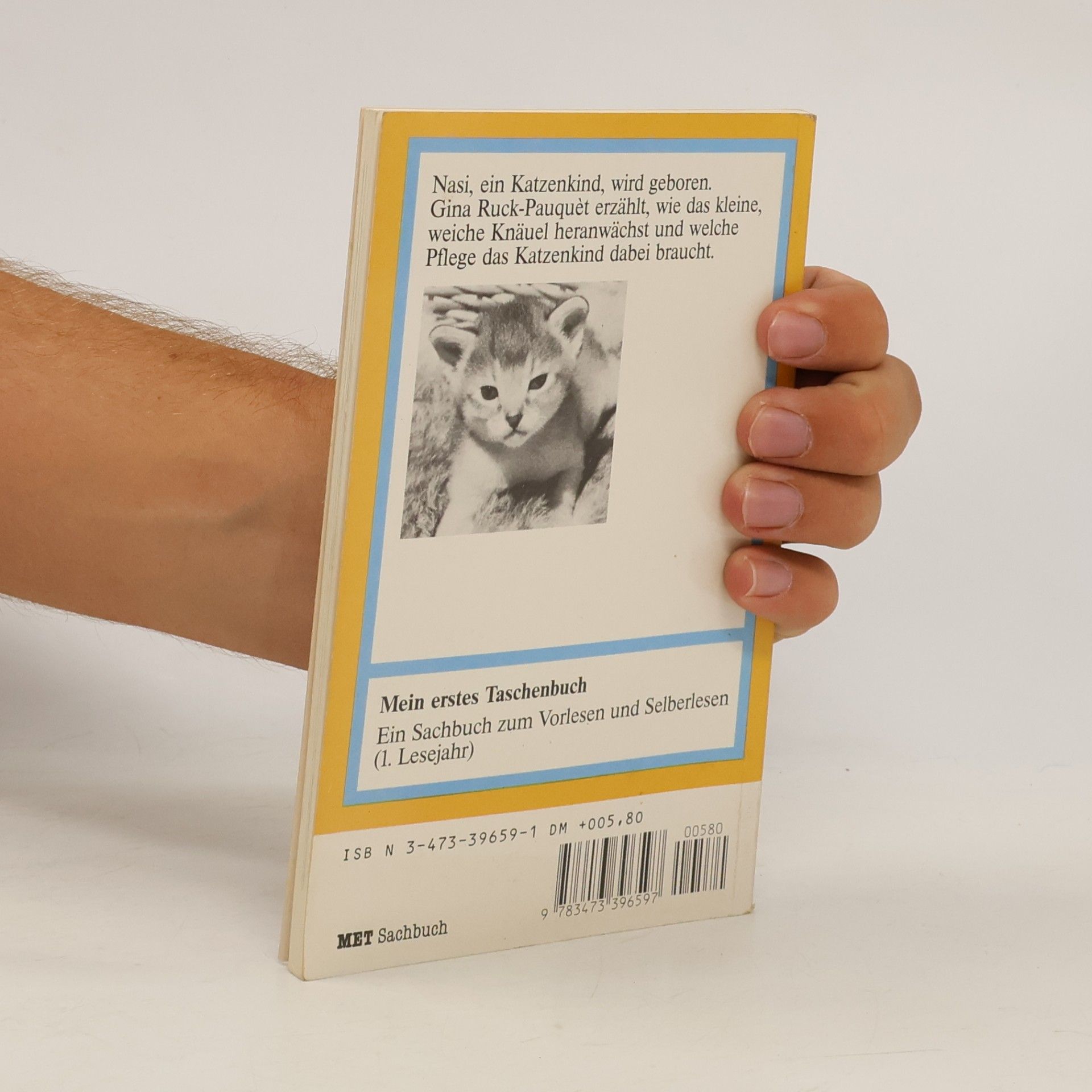 Gina Ruck-Pauquèt Eine Handvoll Katze. Erste Lebenswochen eines Katzenkindes