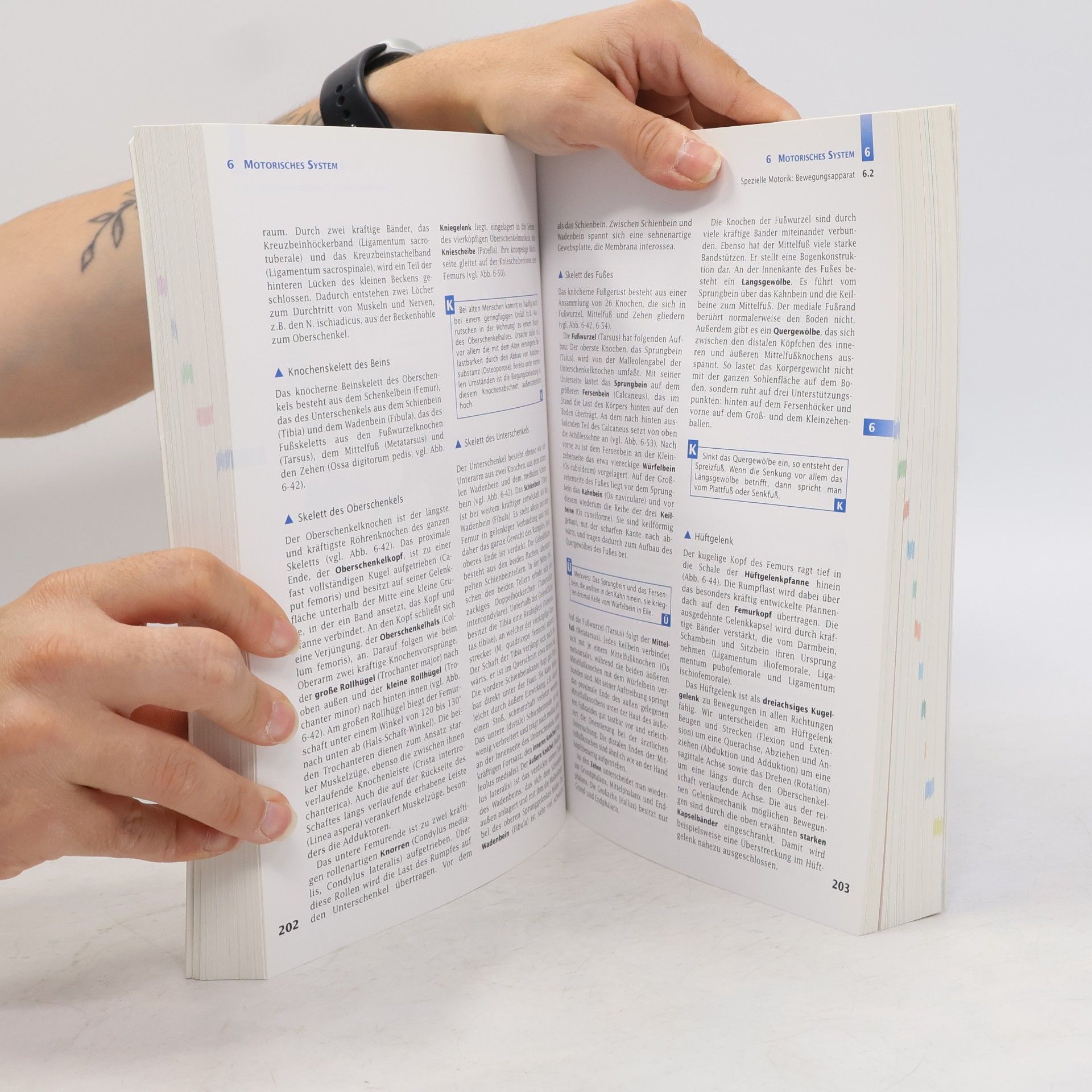 Erwin-Josef Speckmann Handbuch Anatomie