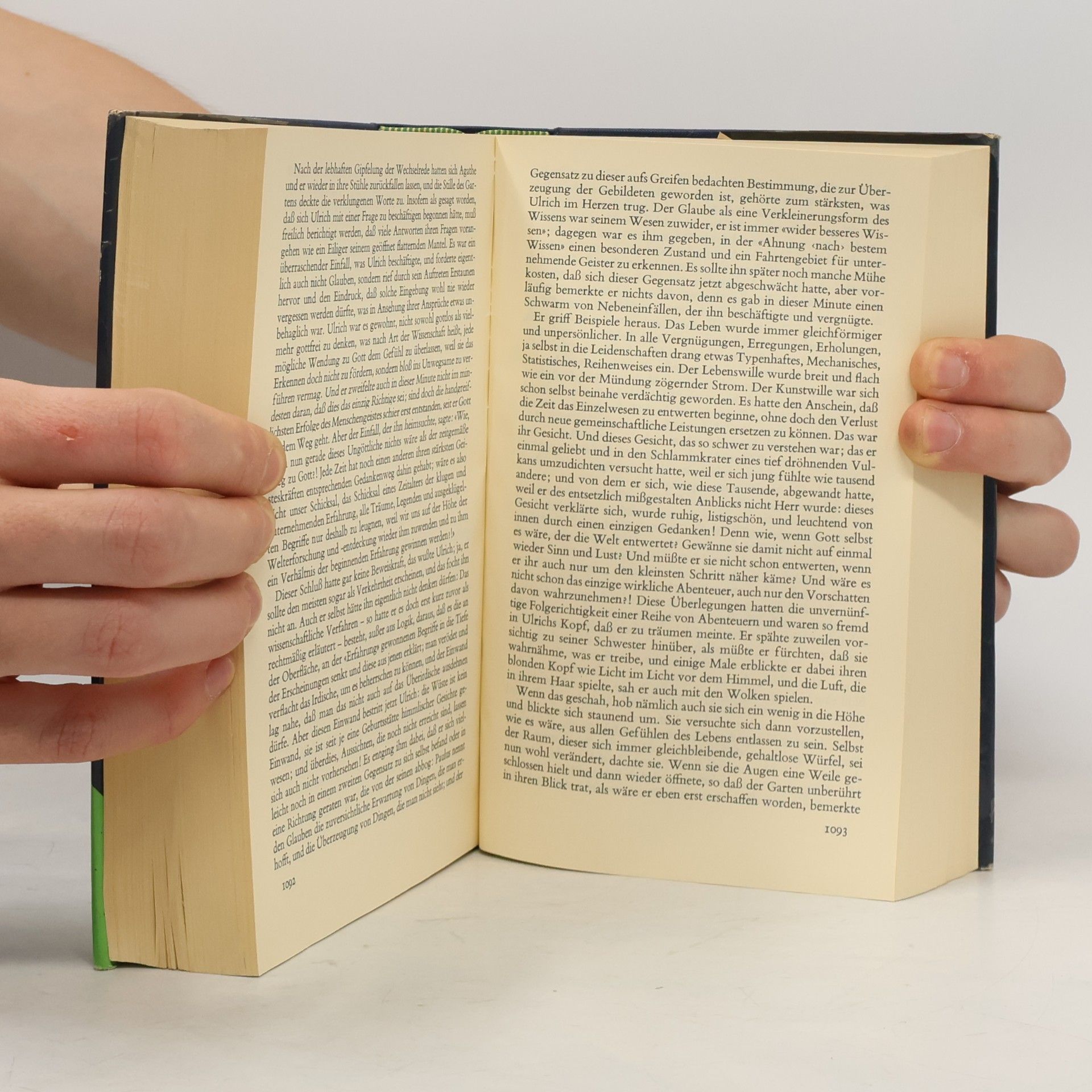 Robert Musil Der Mann ohne Eigenschaften