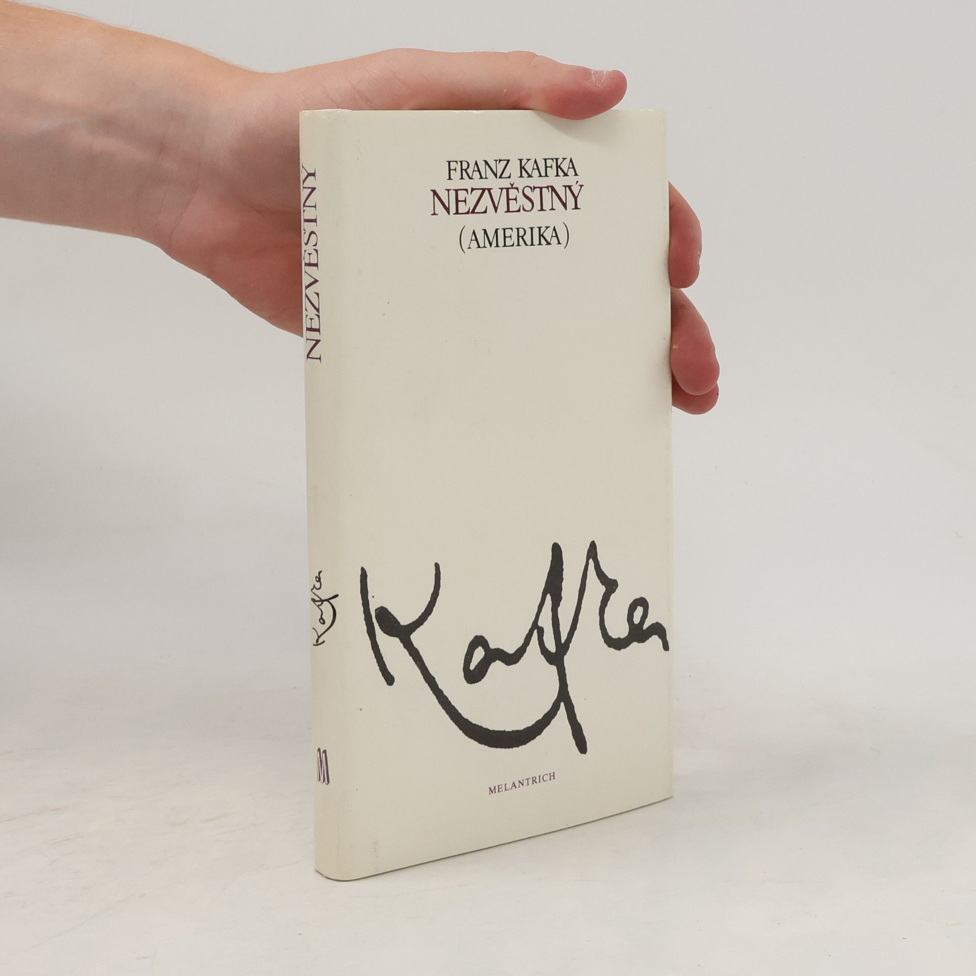 Franz Kafka Nezvěstný (Amerika)
