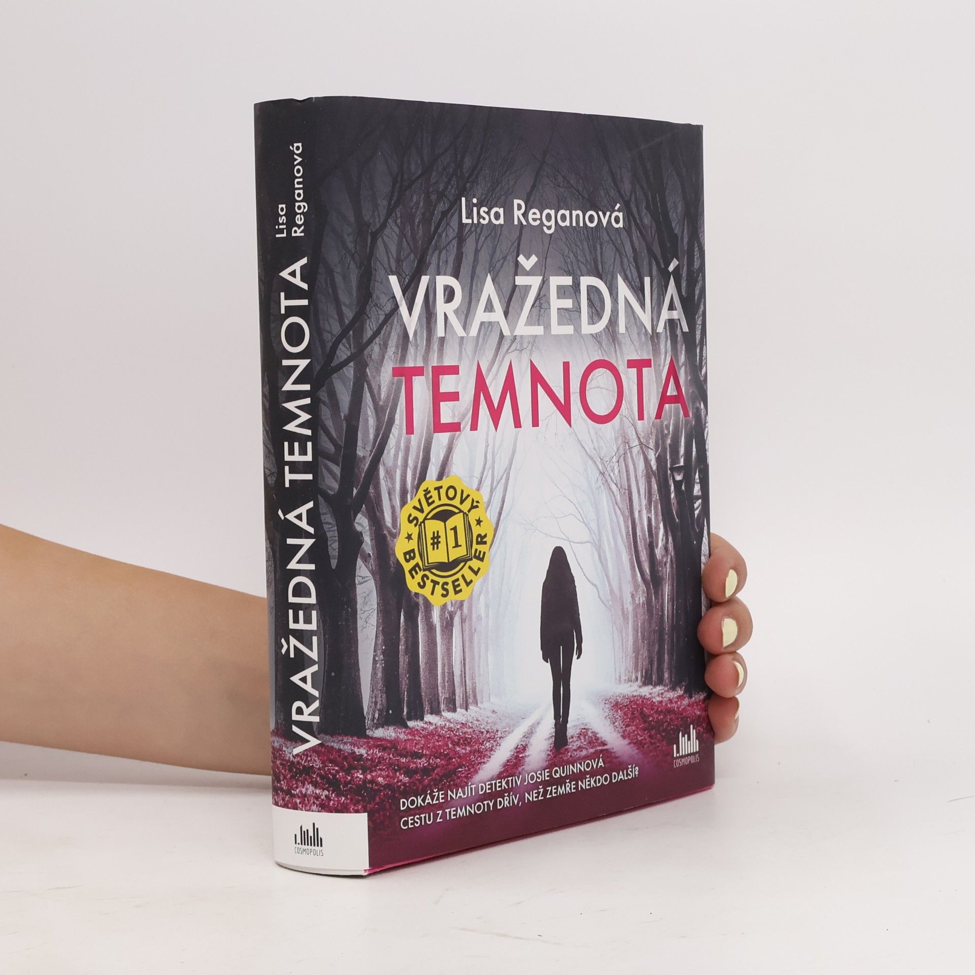 Lisa Regan Vražedná temnota
